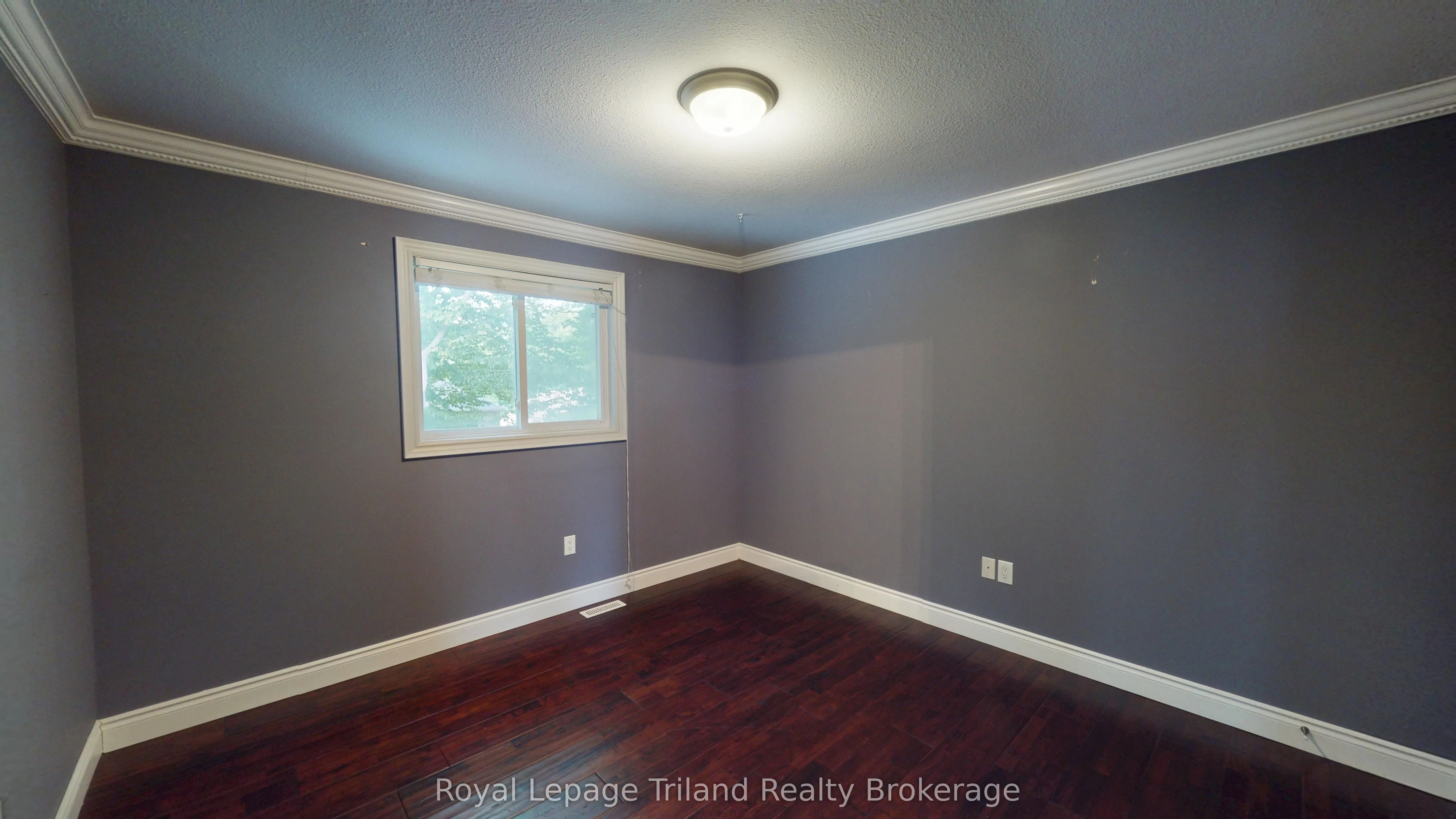 107 Forestway Trail