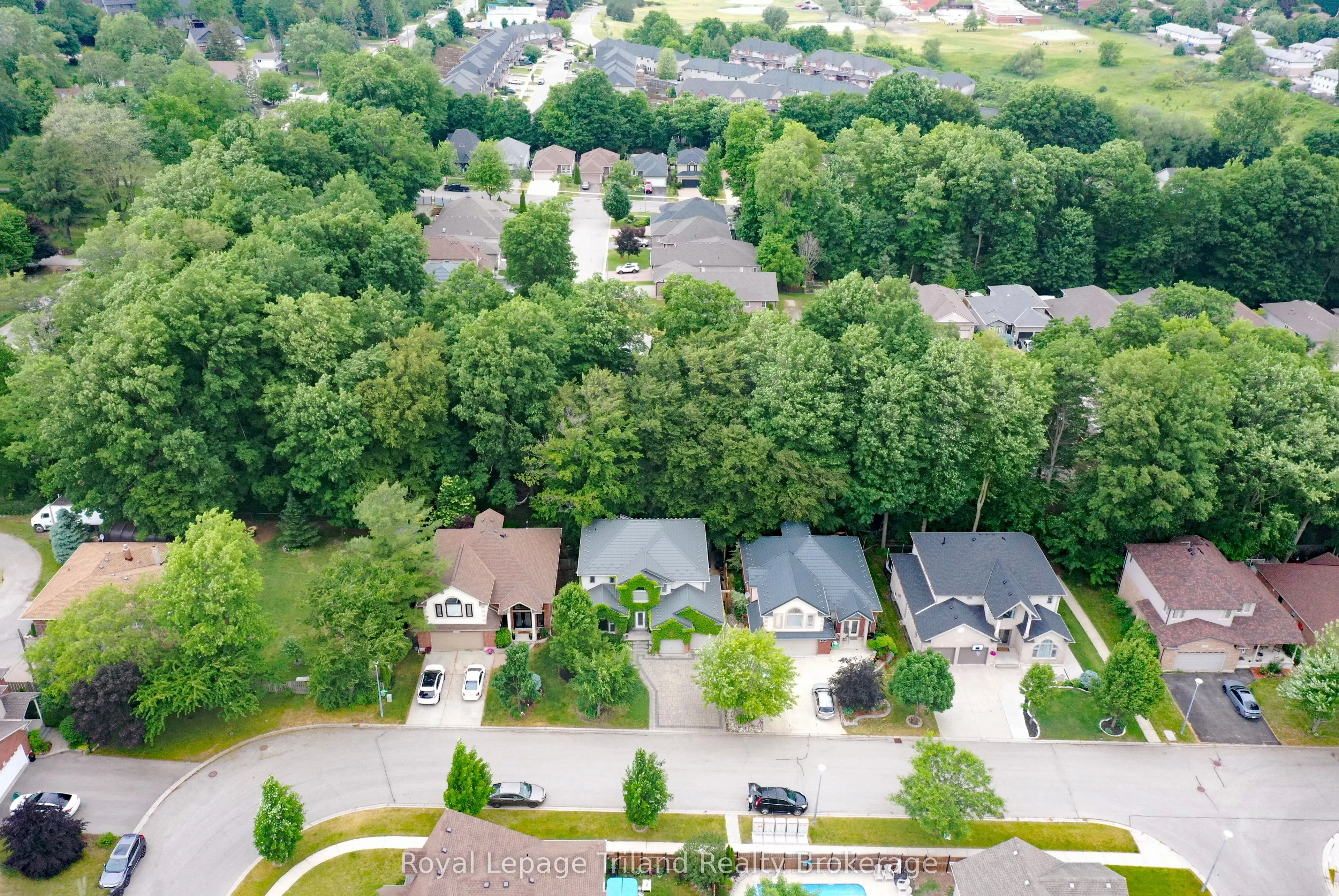107 Forestway Trail