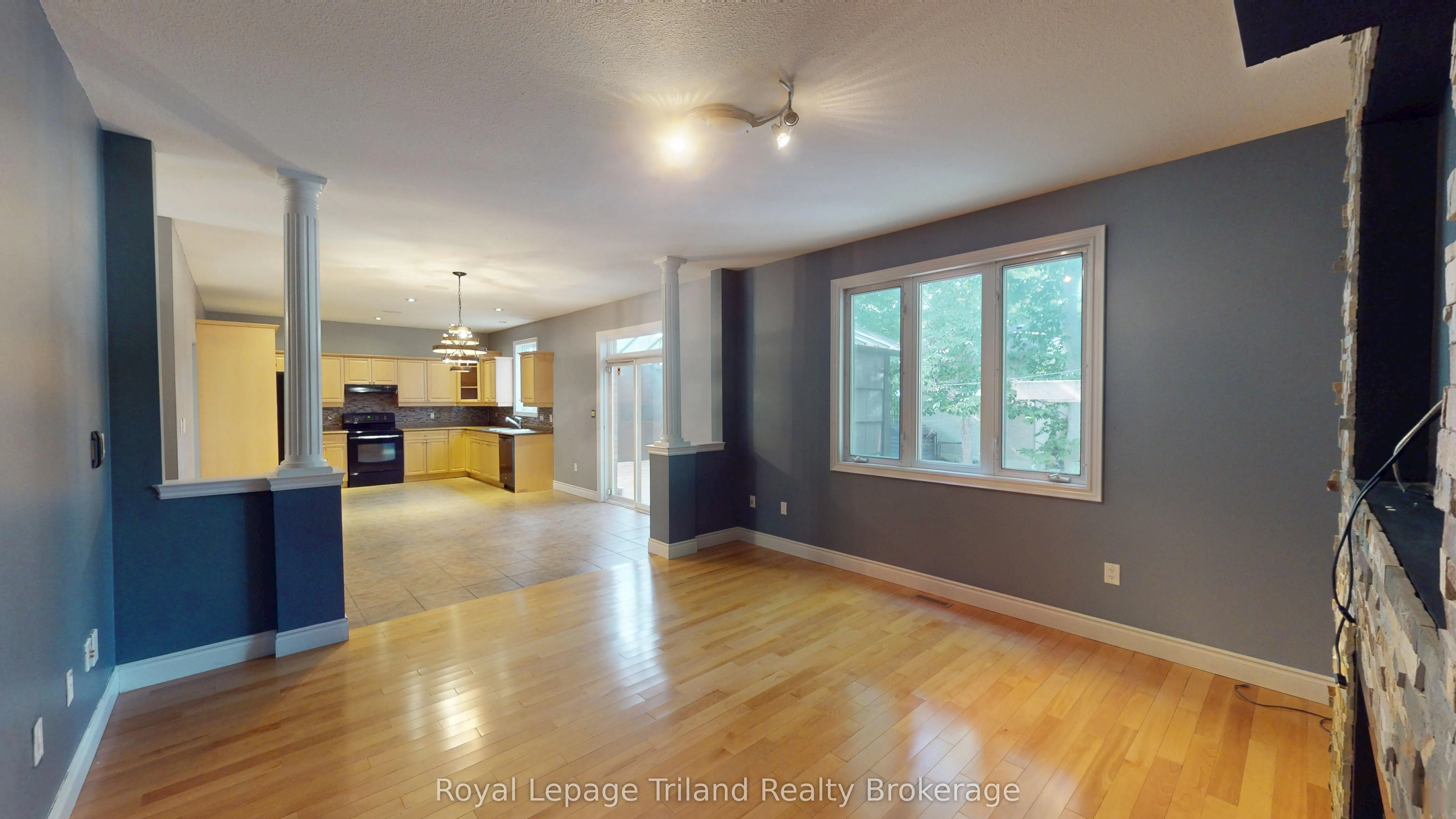 107 Forestway Trail