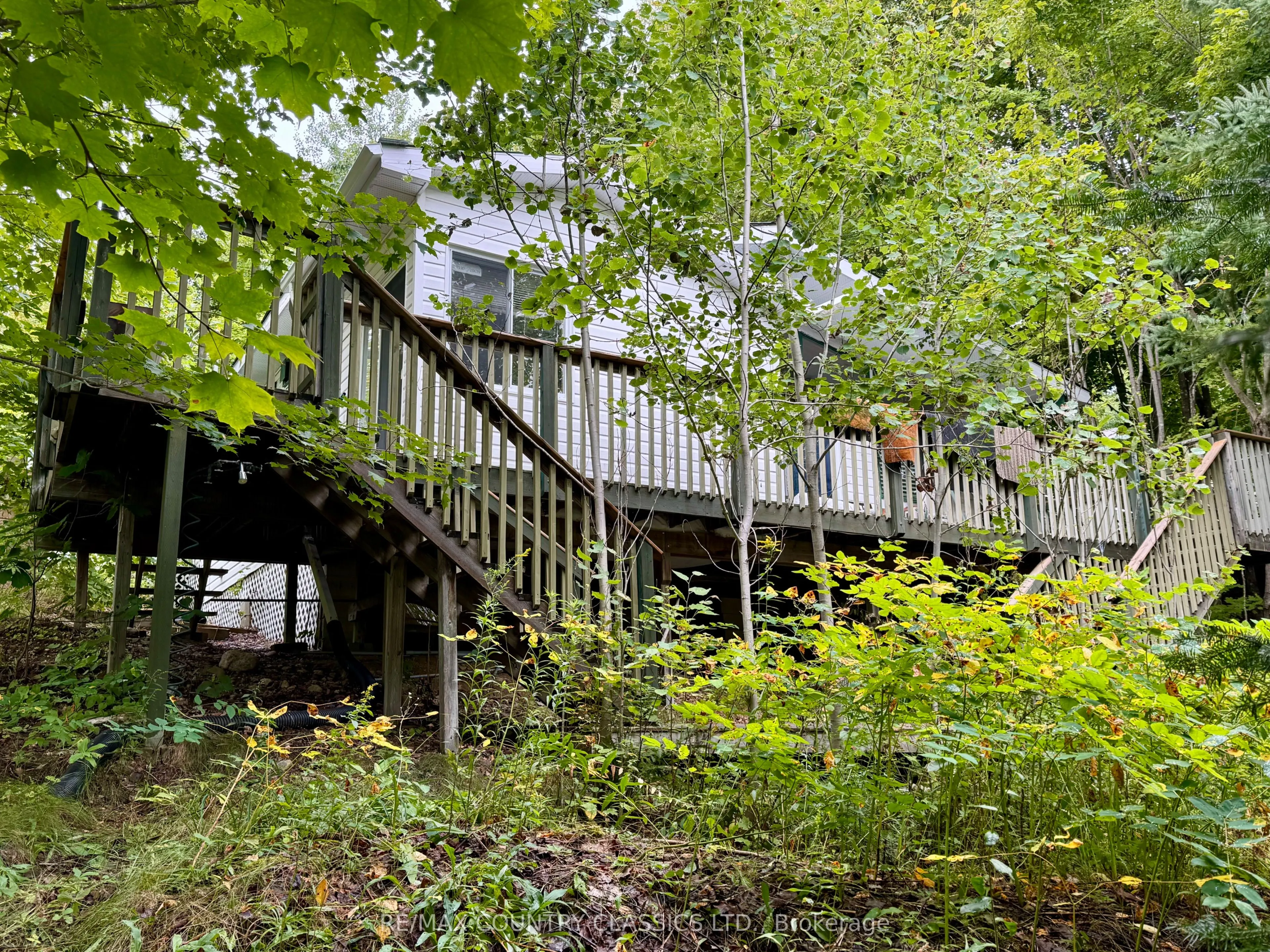 256 Elgin Road