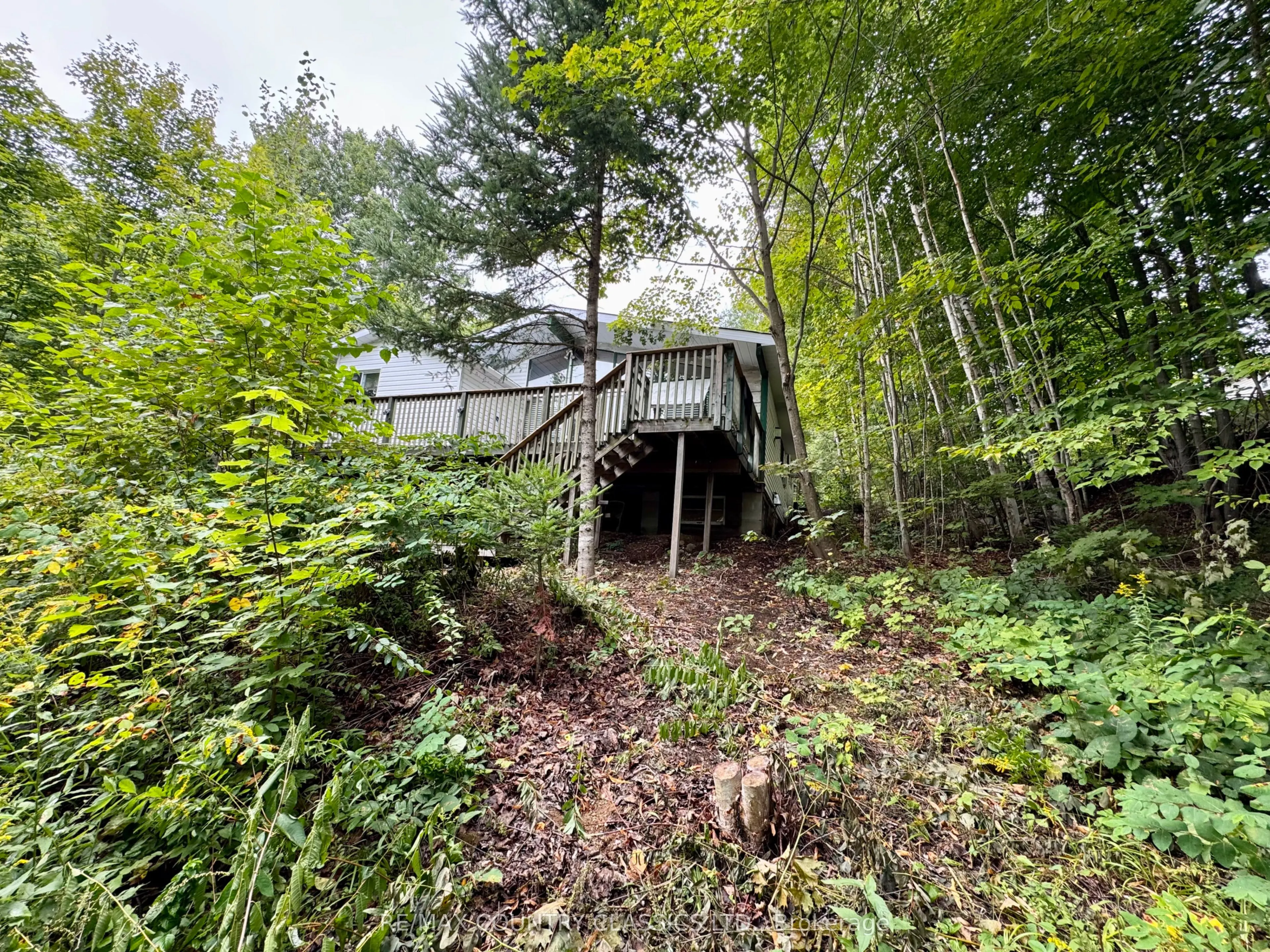 256 Elgin Road