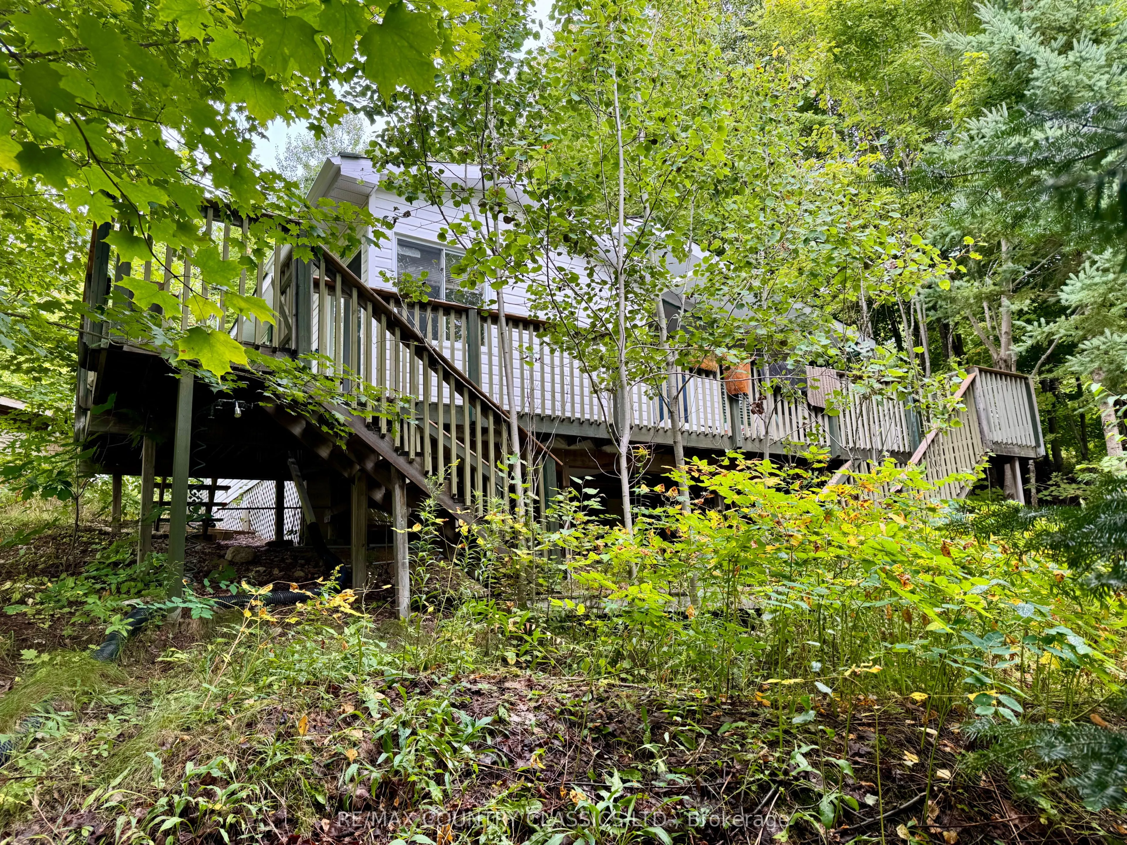256 Elgin Road