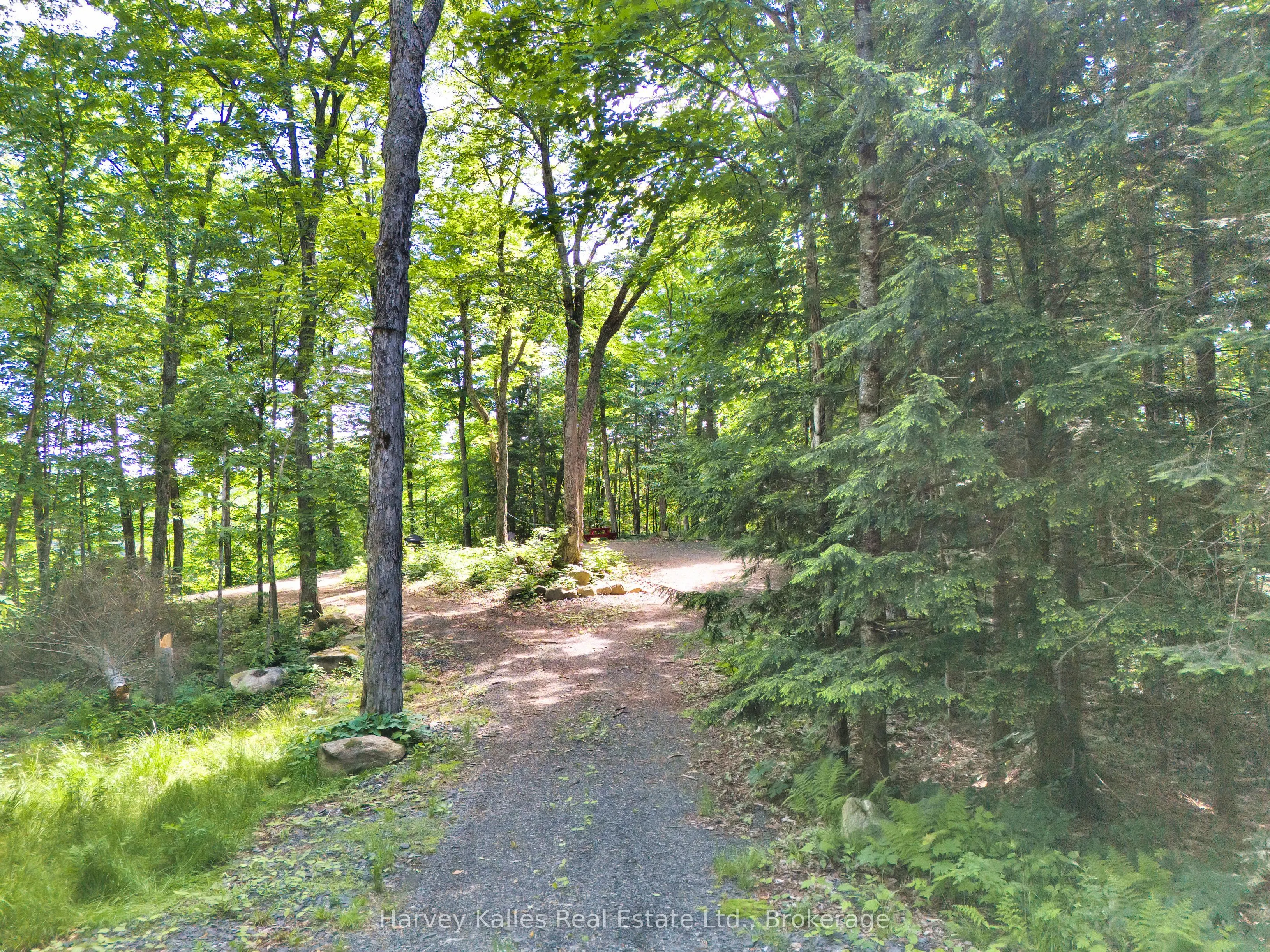 1082 Carl Fisher Drive, #3