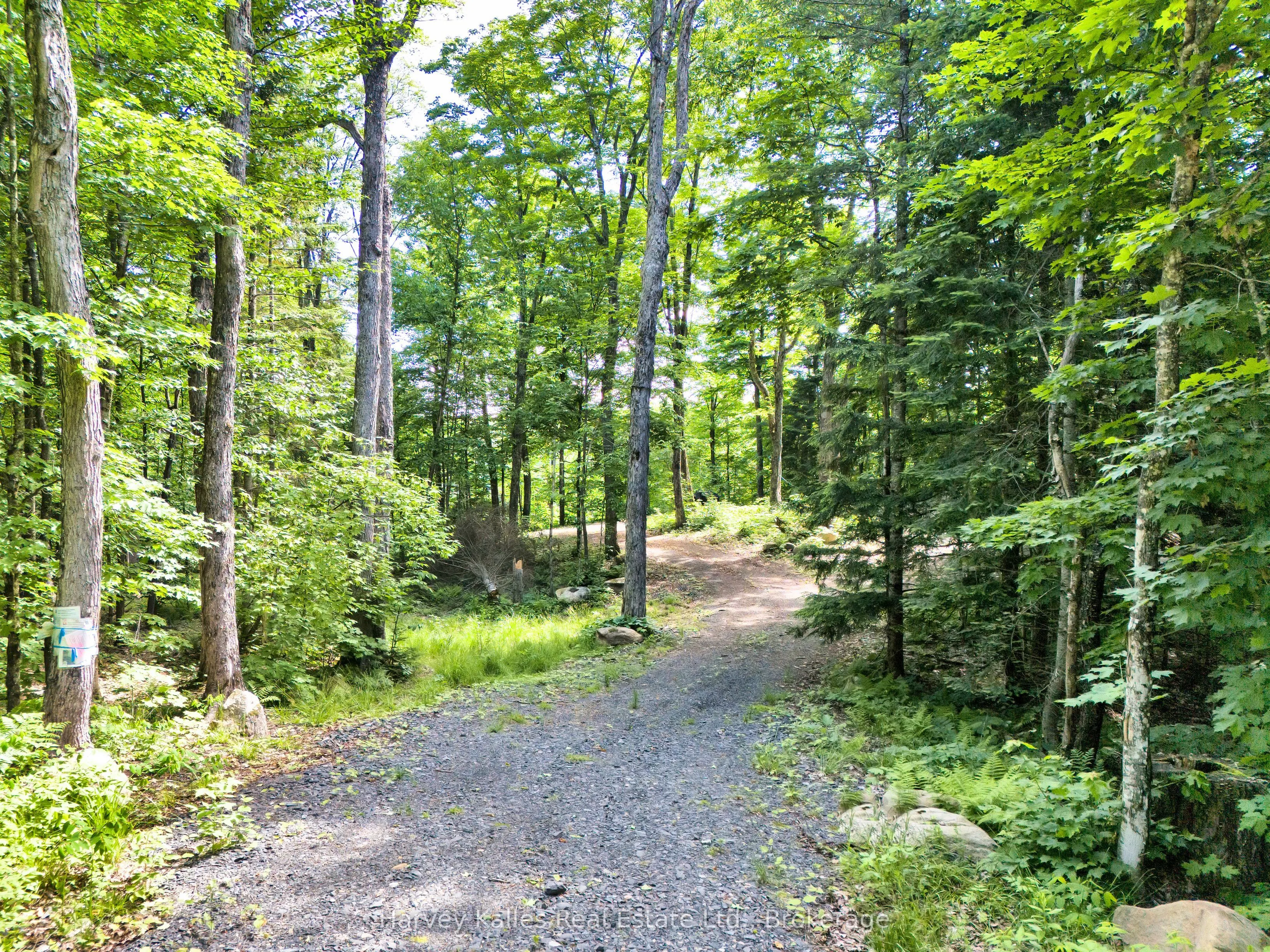 1082 Carl Fisher Drive, #3