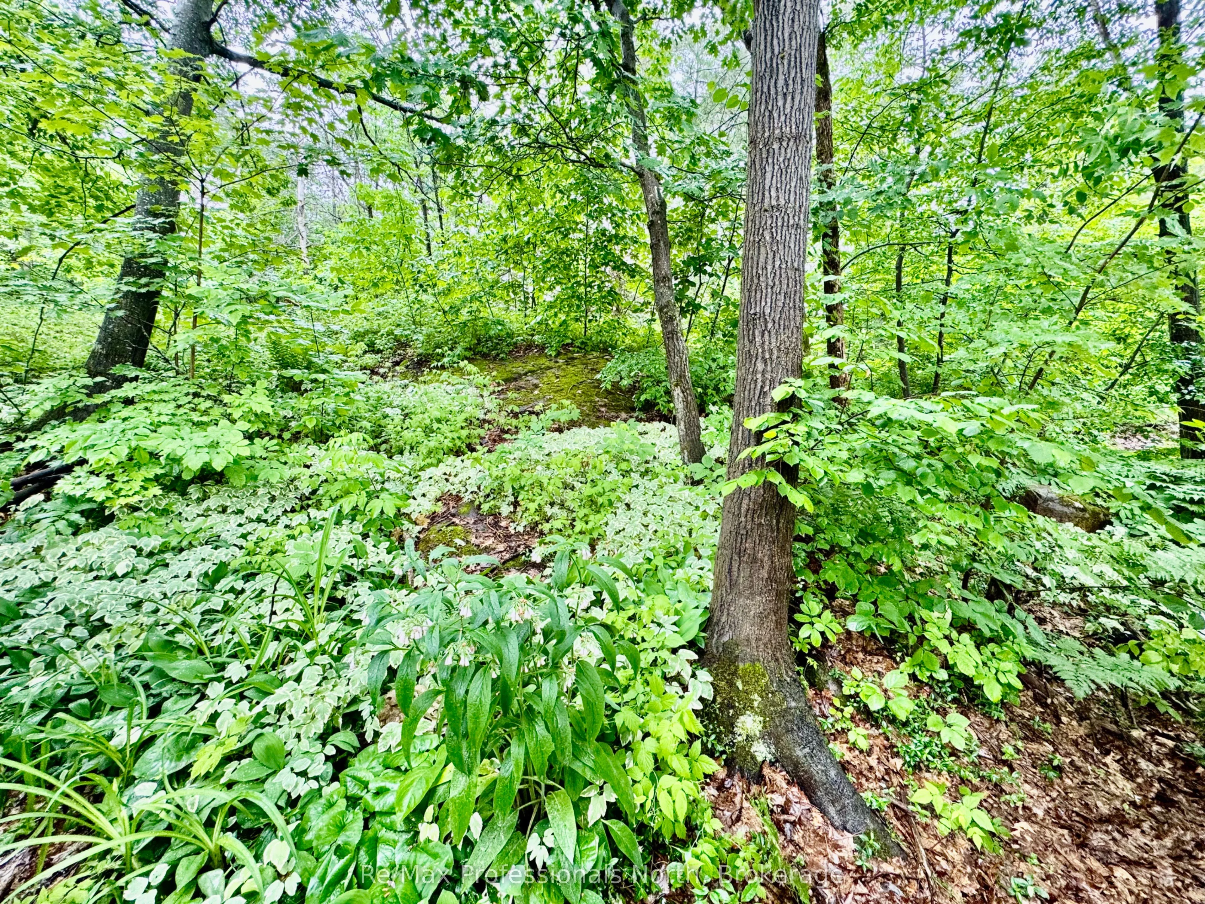 1007 RACOON Road, #45