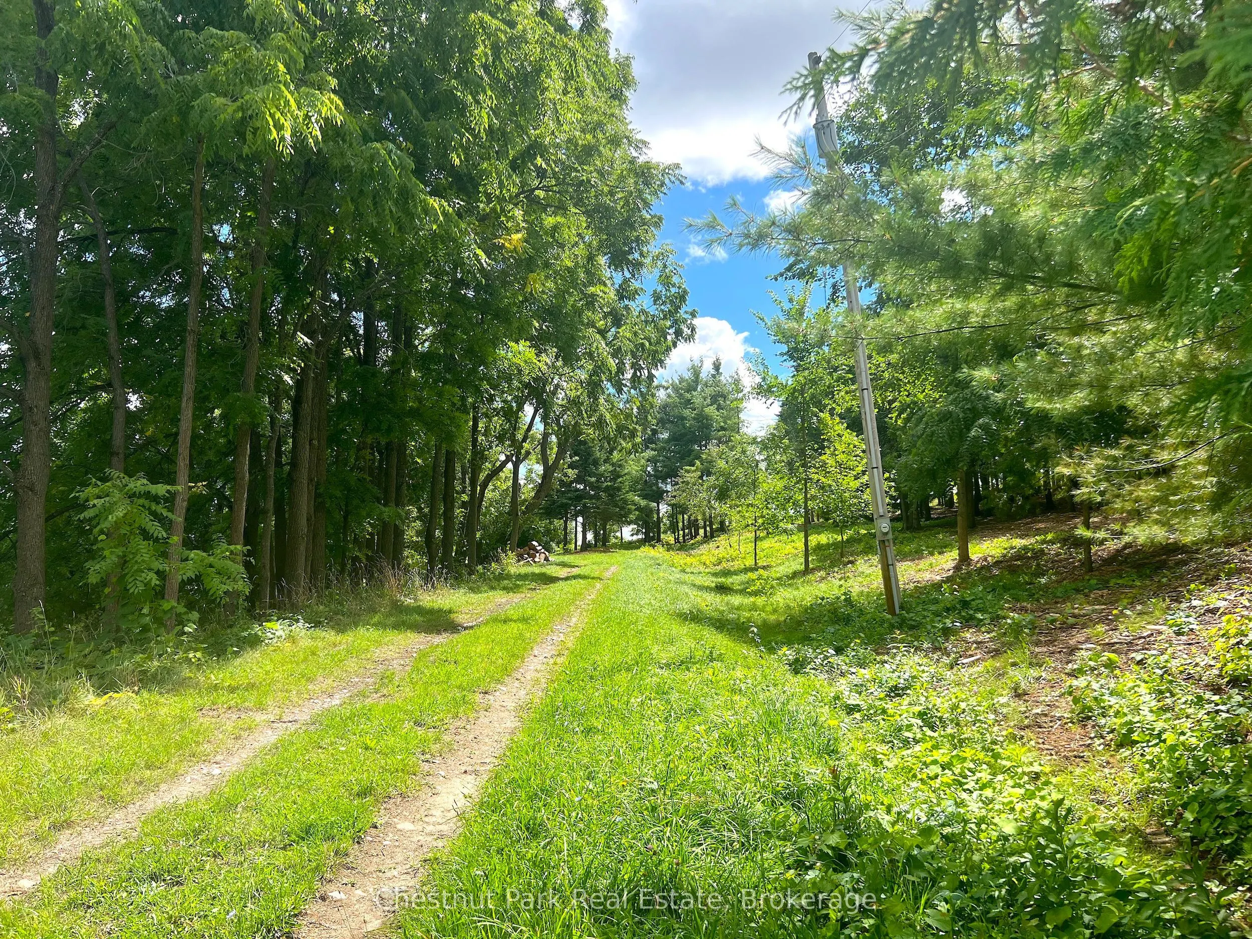 628190 15th Side Road