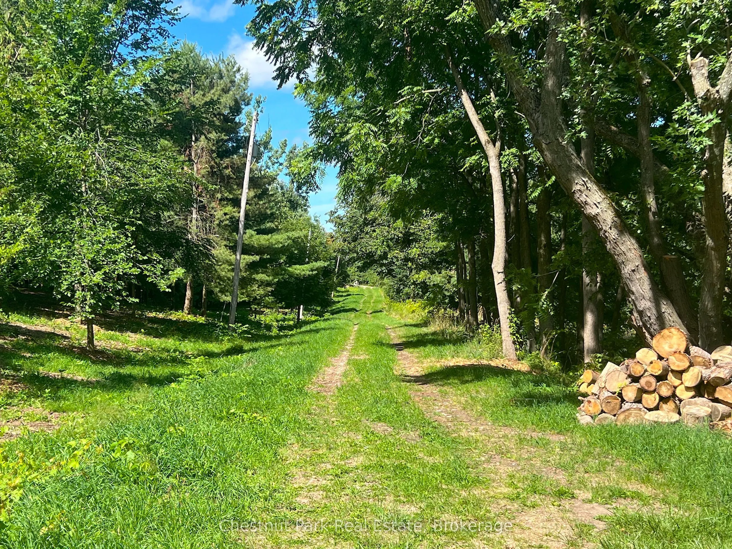 628190 15th Side Road
