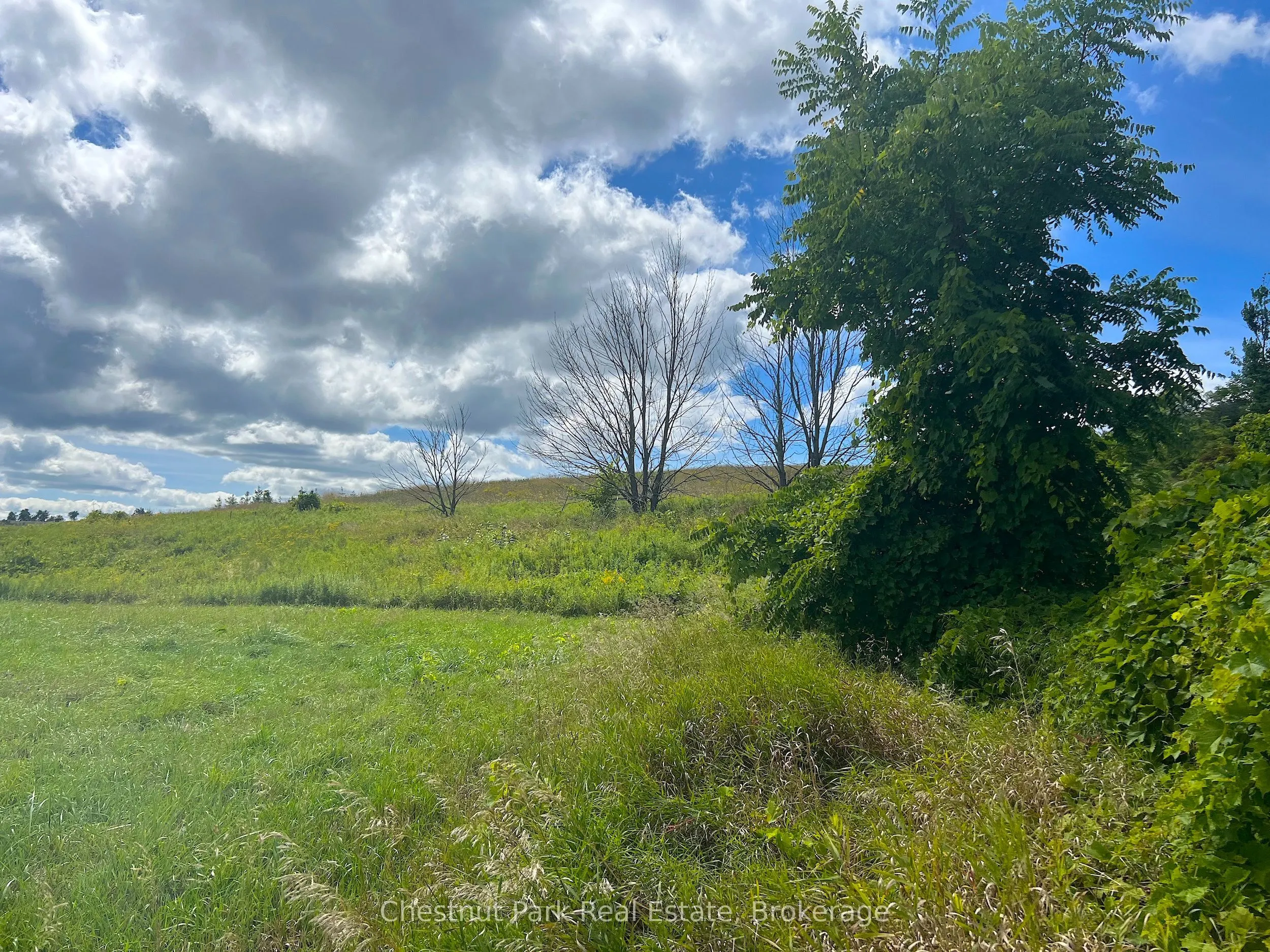 628190 15th Side Road