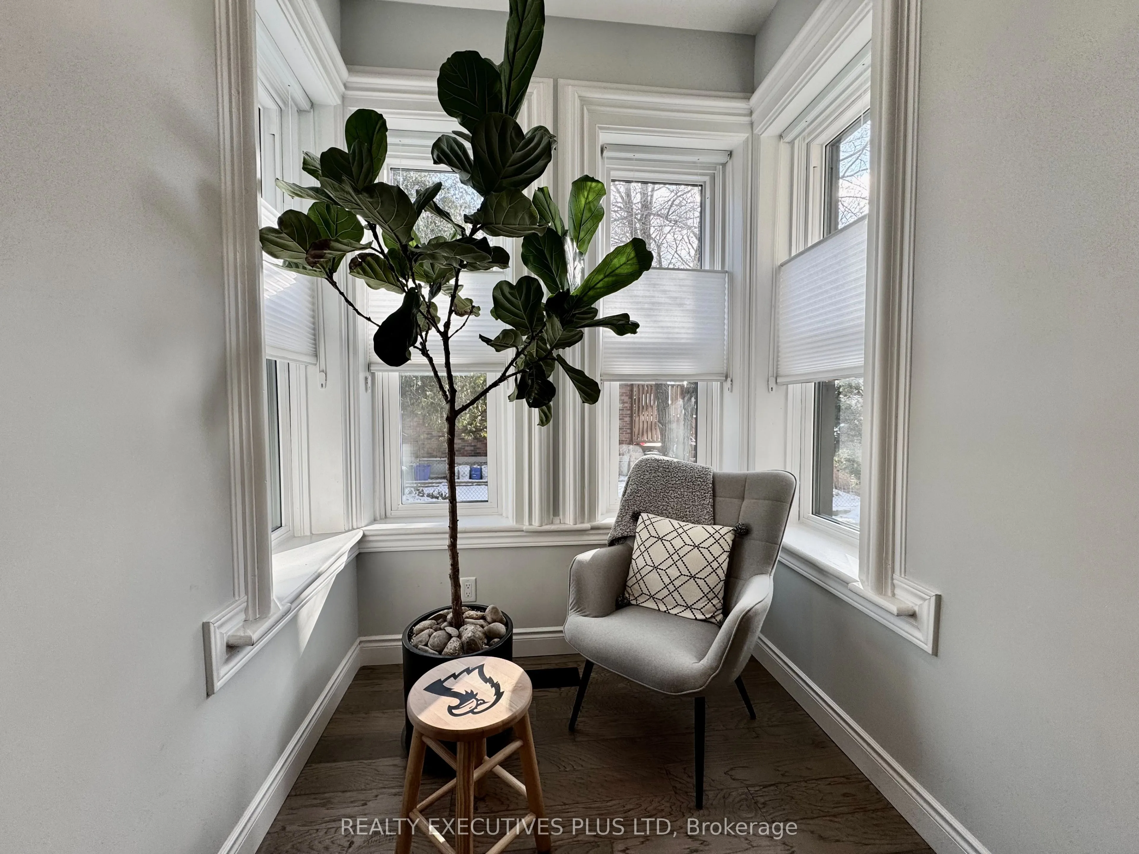 6 Elgin Street N
