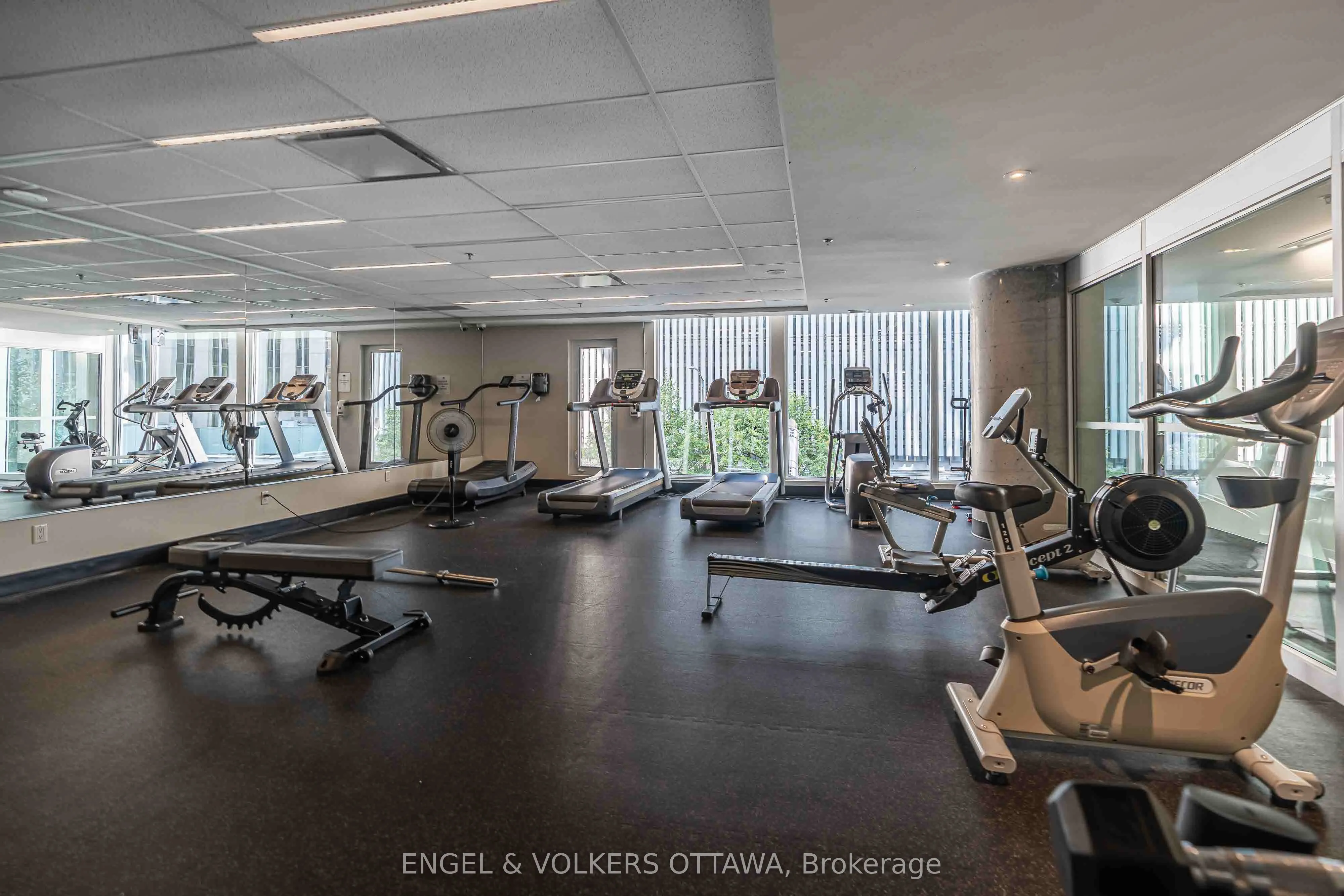 197 lisgar Street, #202