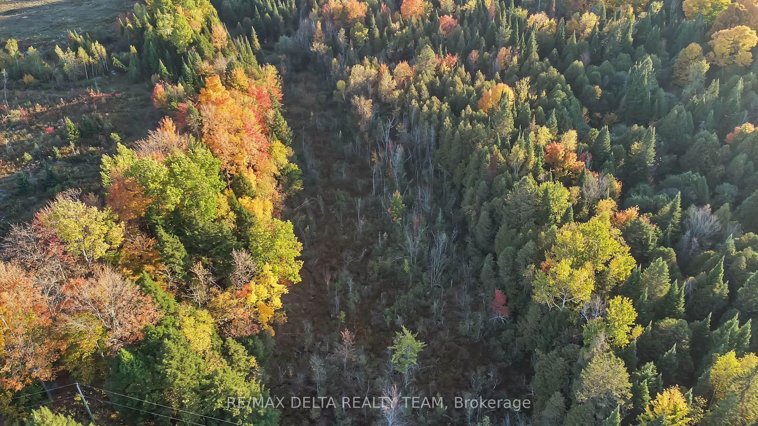 380 Concession 1 Road