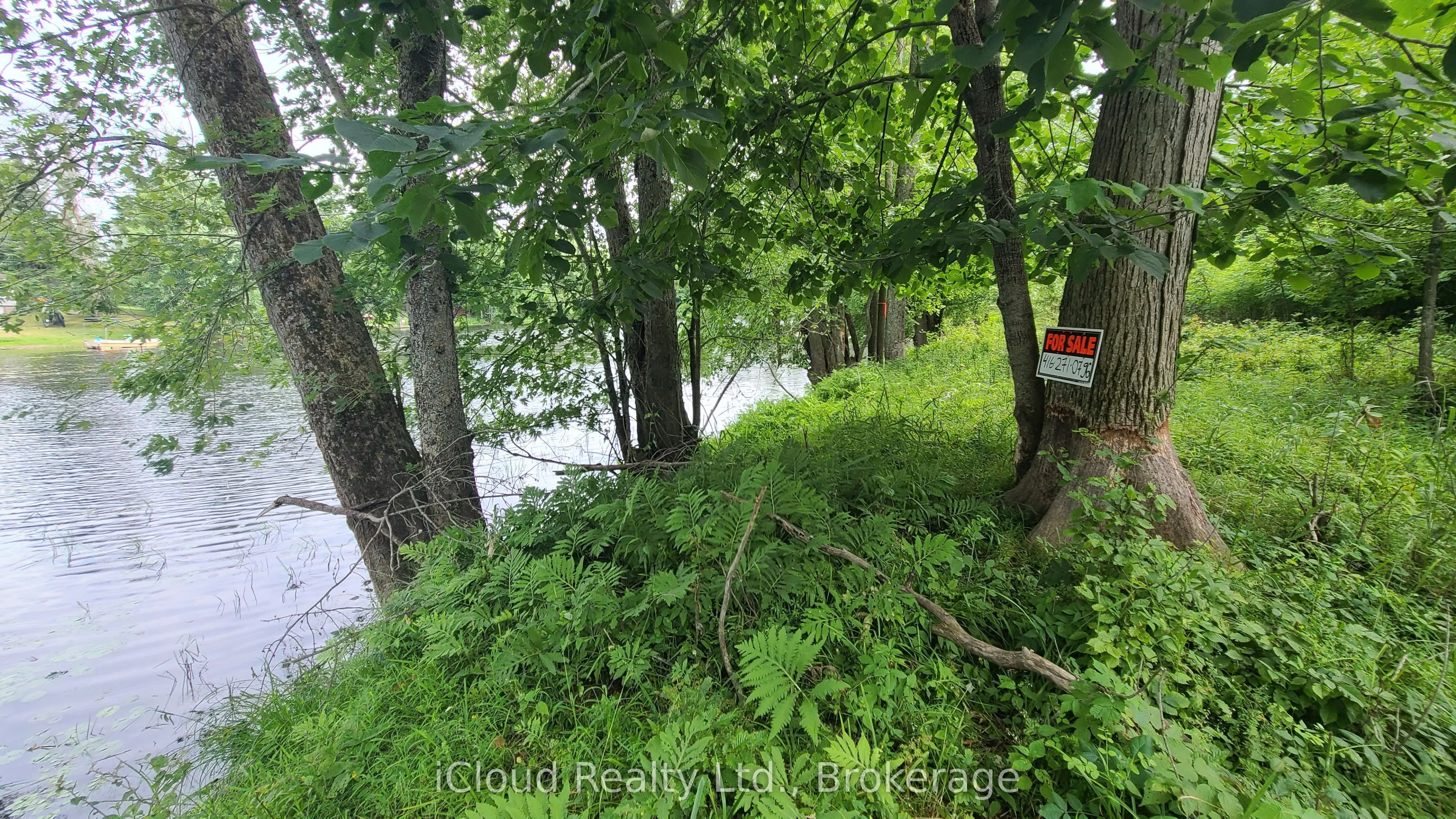 244 Trillium Lane