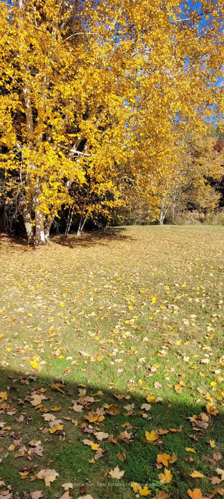 7135 3 Side Road E
