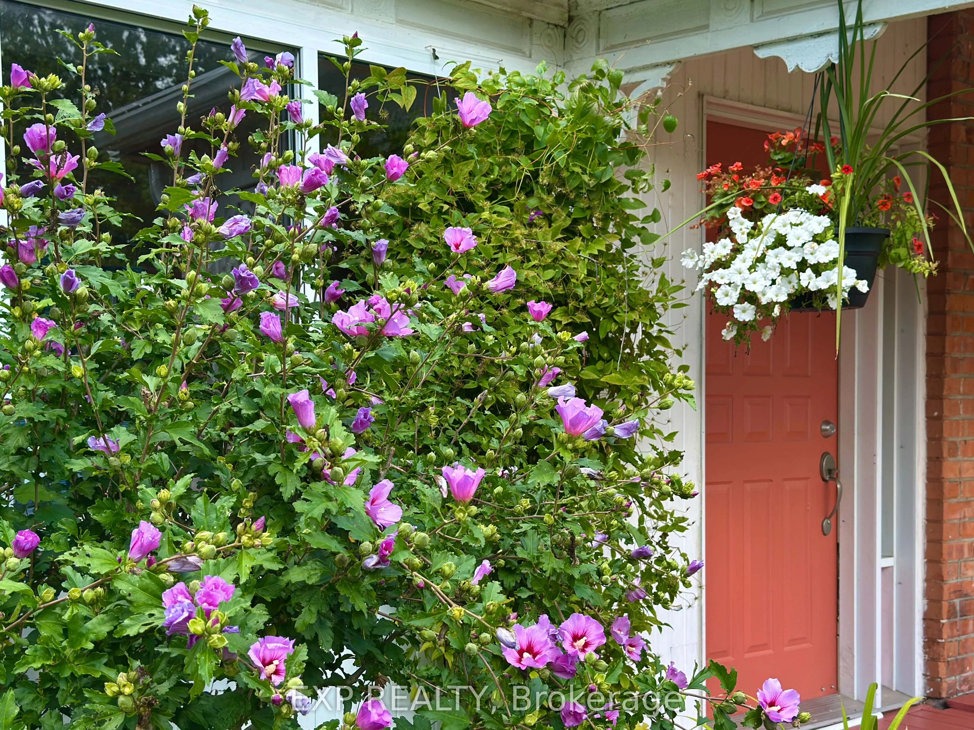 76 Sarah Street