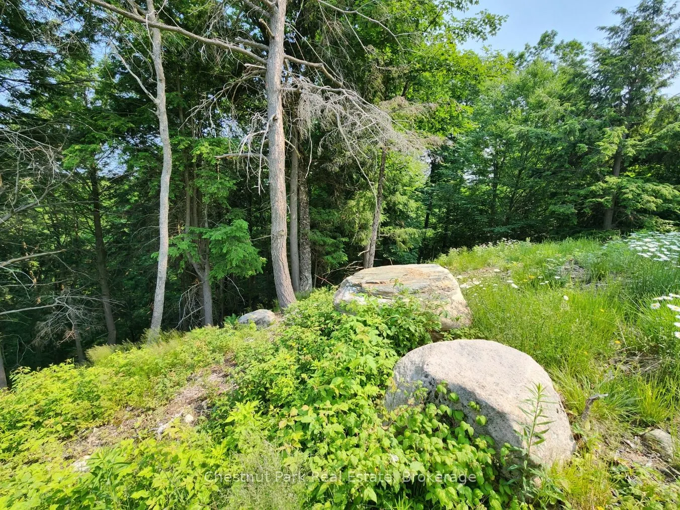 19 Old Hemlock Trail
