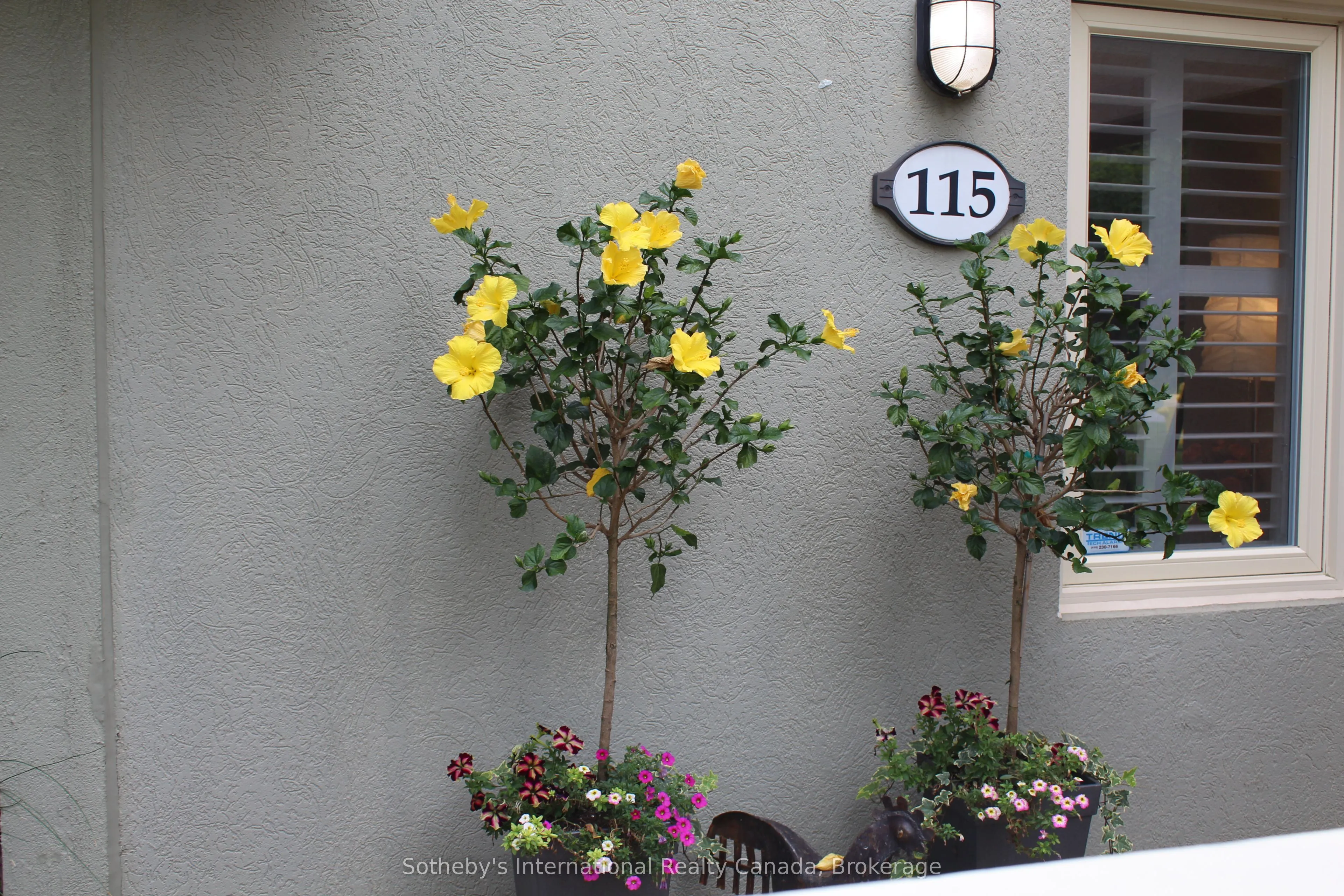 107 Wintergreen Place, #115