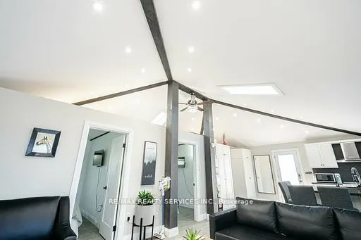 28 Eldonia Road