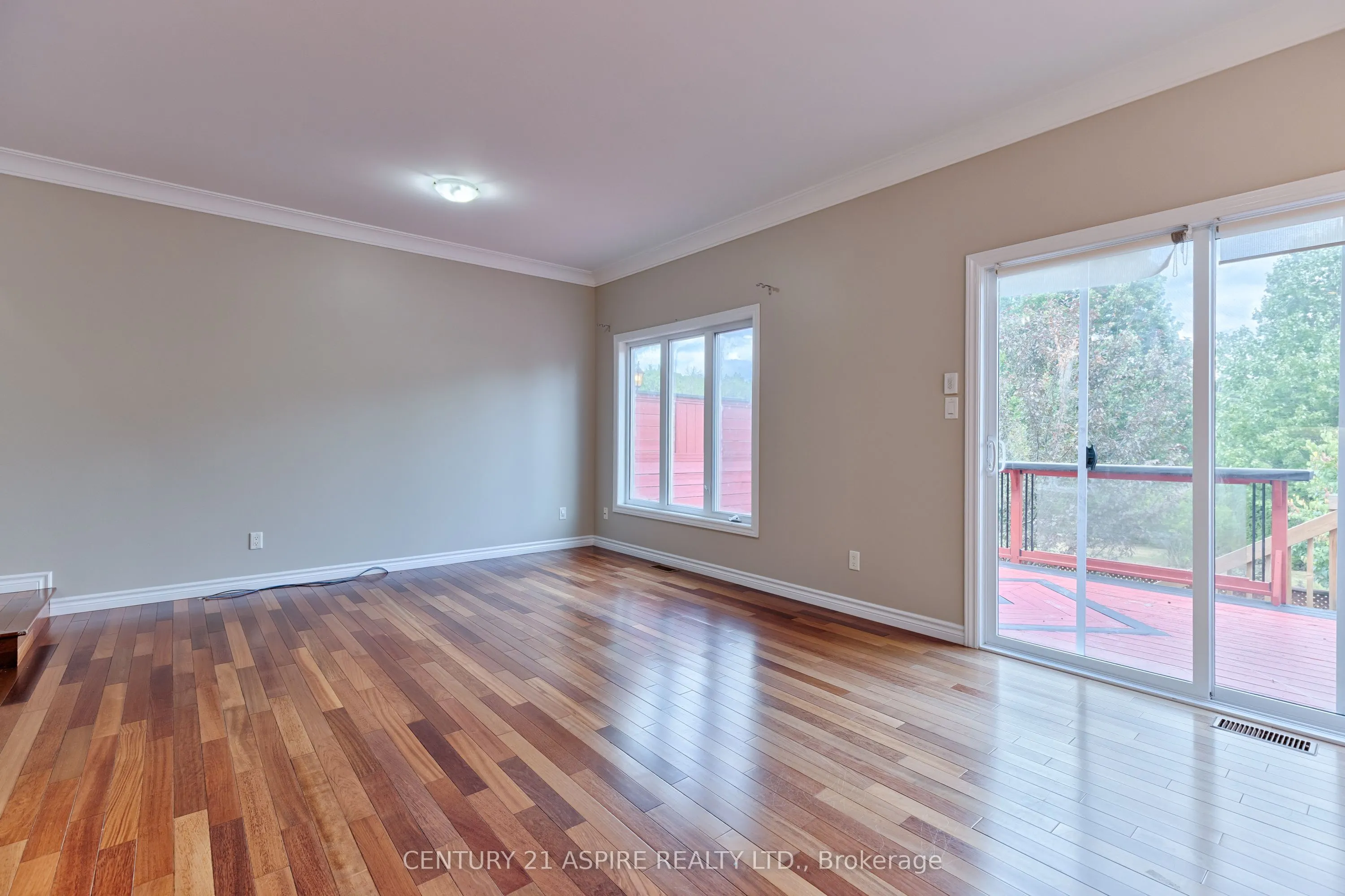 33 Northbrook Road