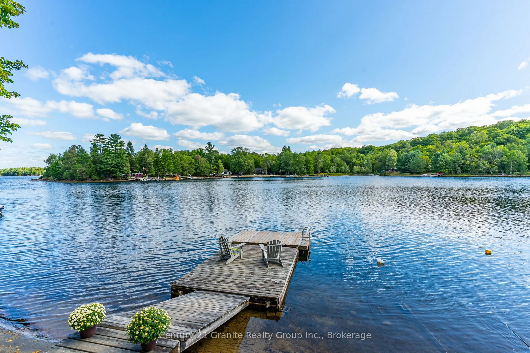 1291 Shanahan Trail
