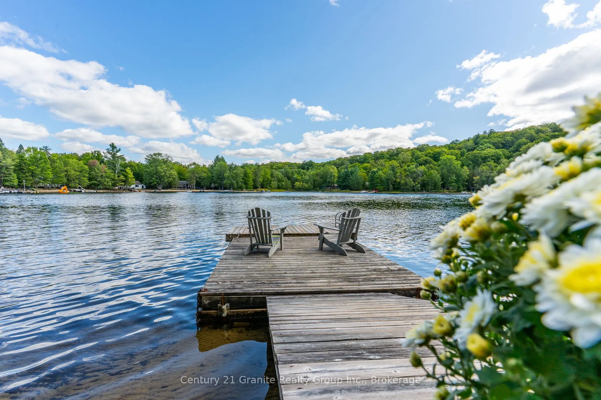 1291 Shanahan Trail