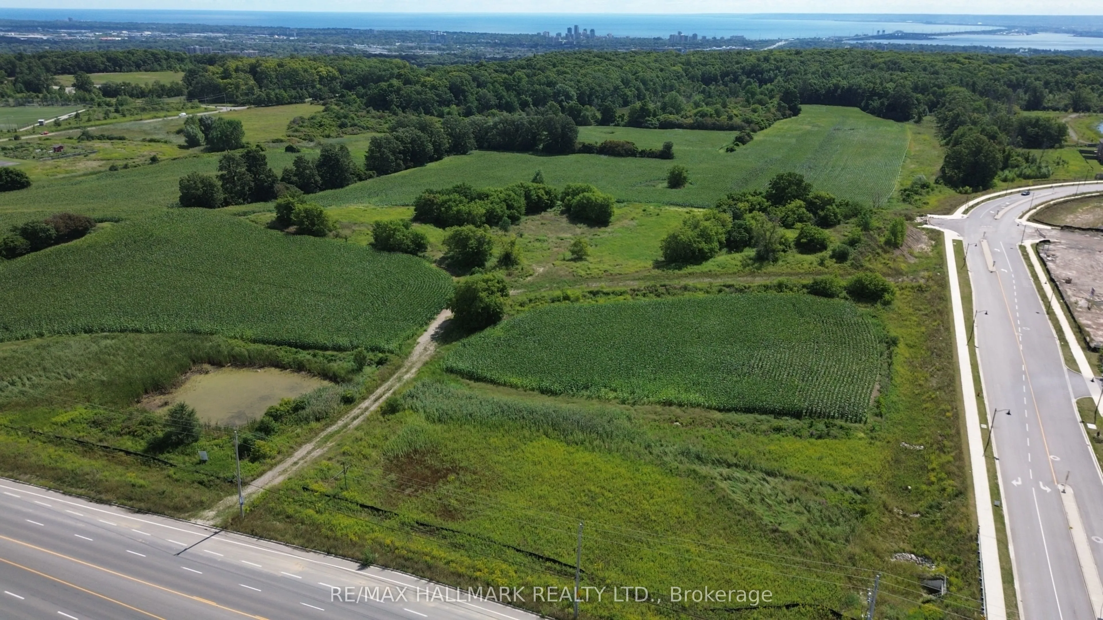 559 Dundas Street E