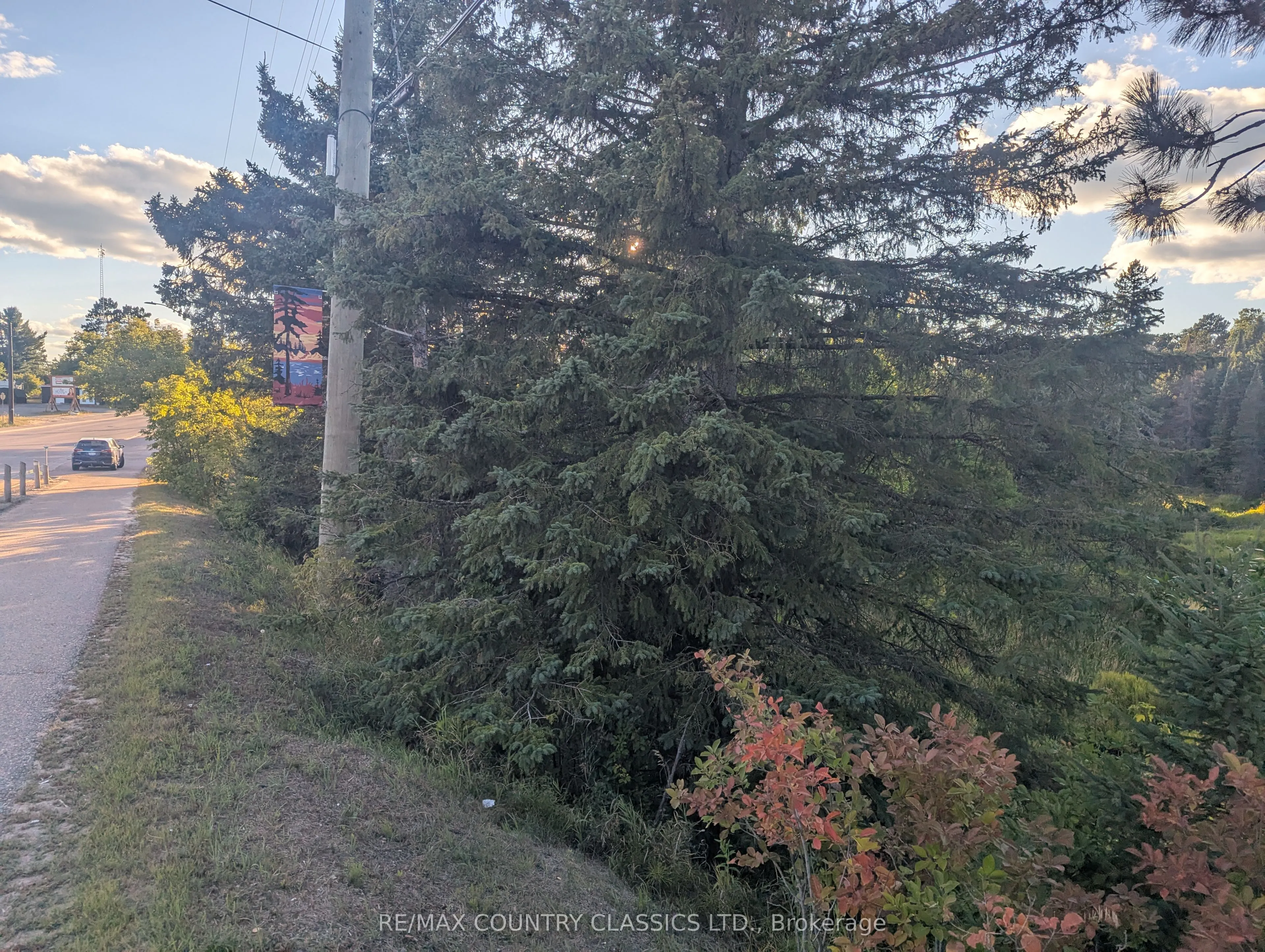 19380 Opeongo Line