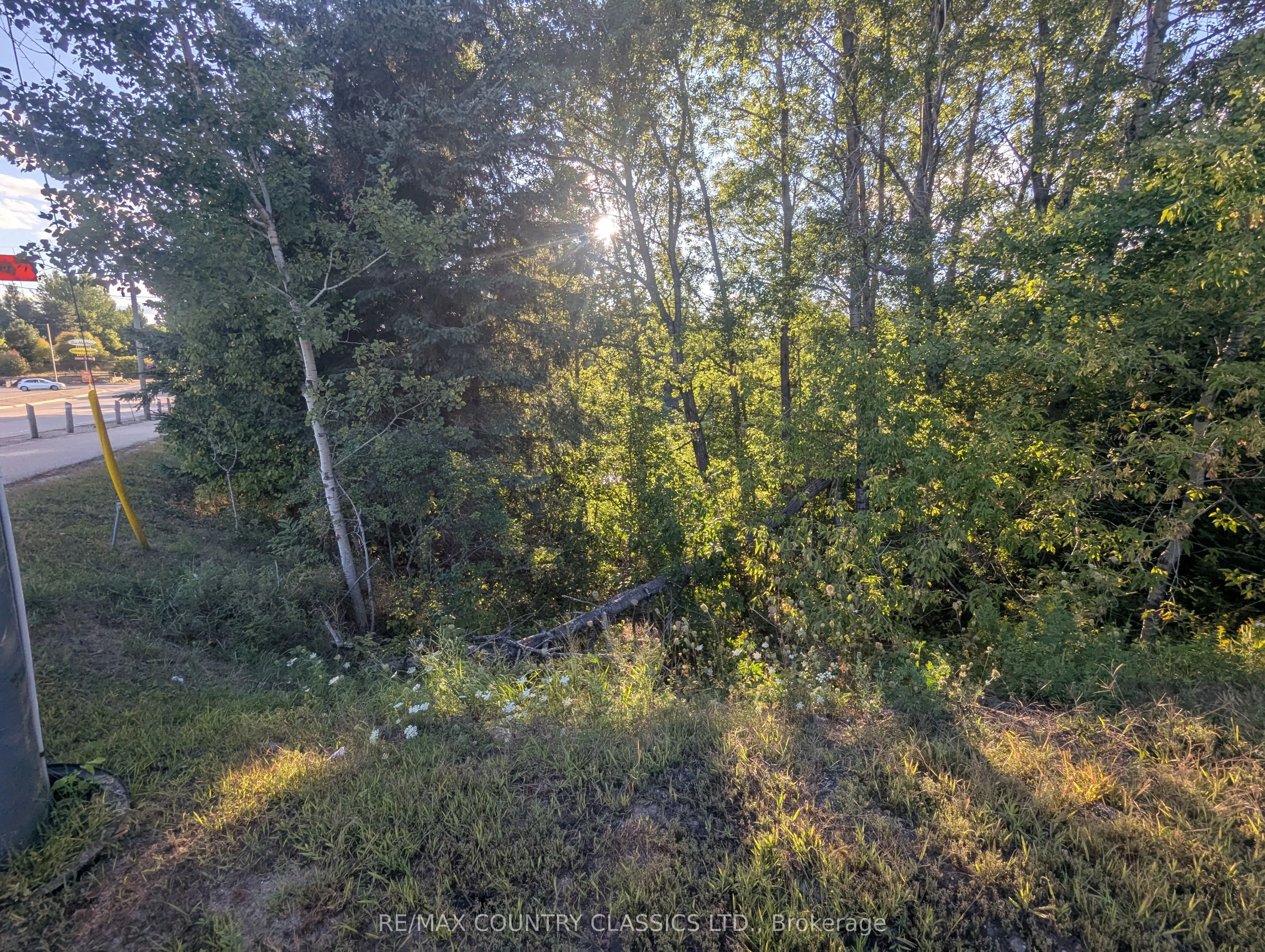 19380 Opeongo Line