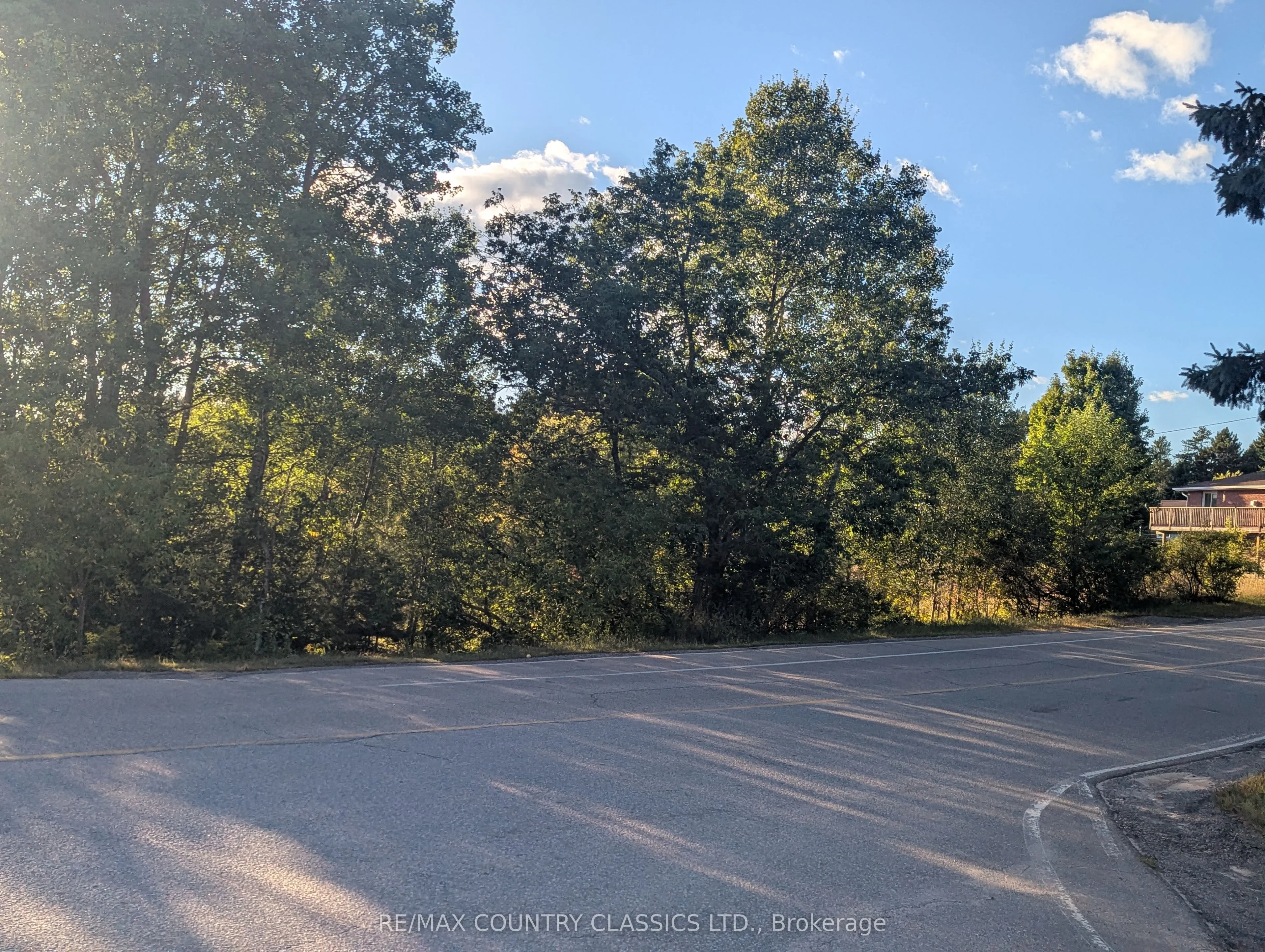 19380 Opeongo Line