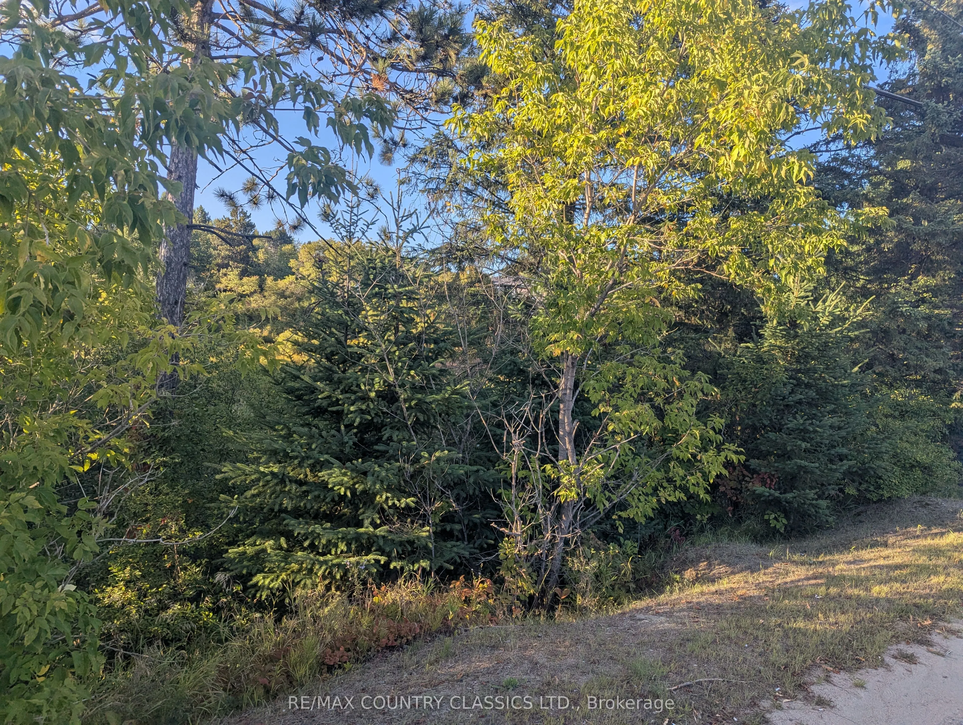 19380 Opeongo Line