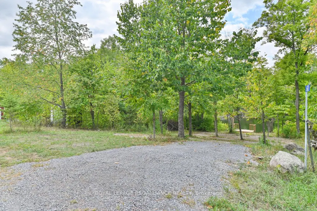 60 Birch Lane