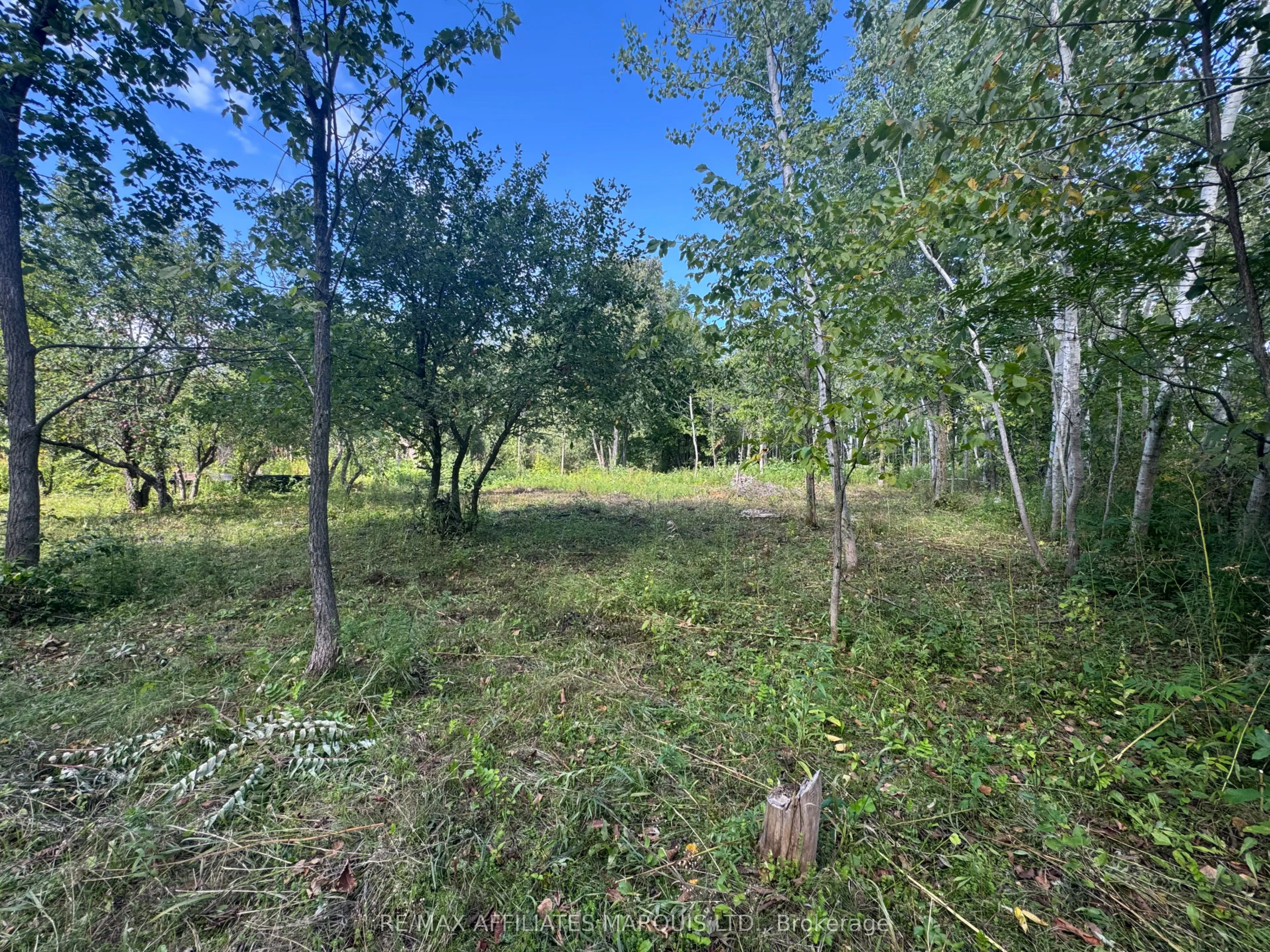 LOT Lapierre Road