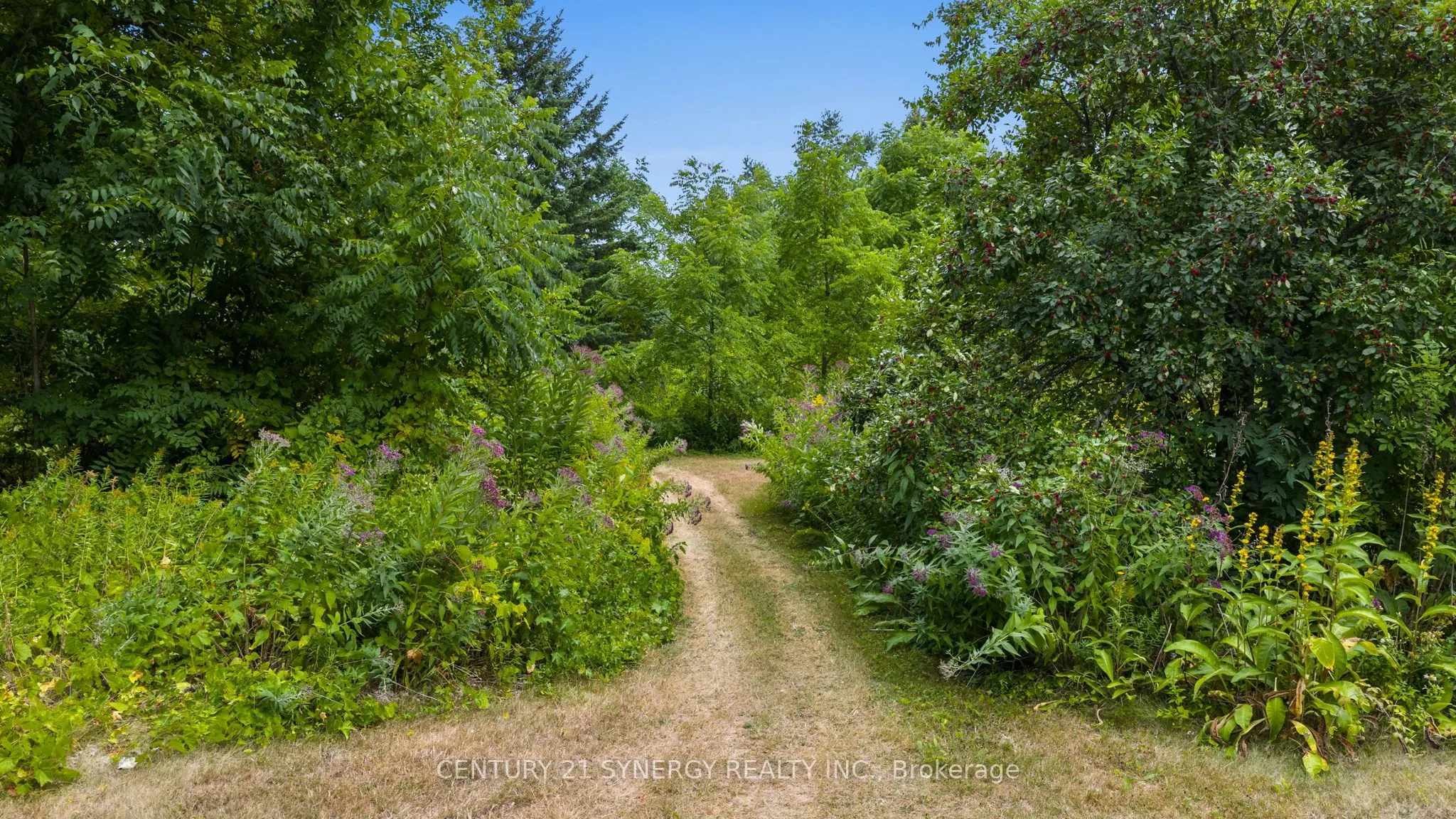 5984 Third Line Road N
