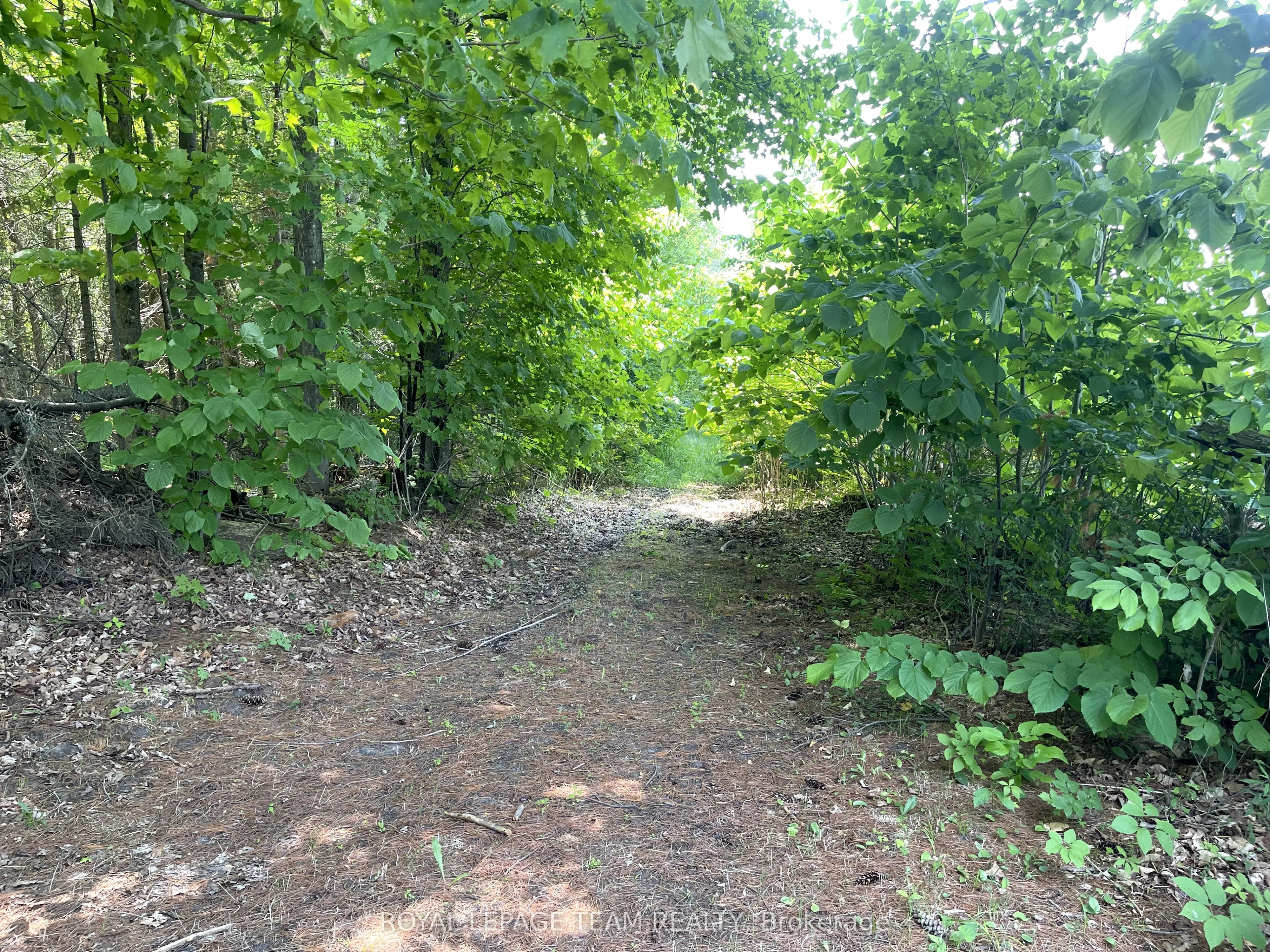 000 Dukelow Road