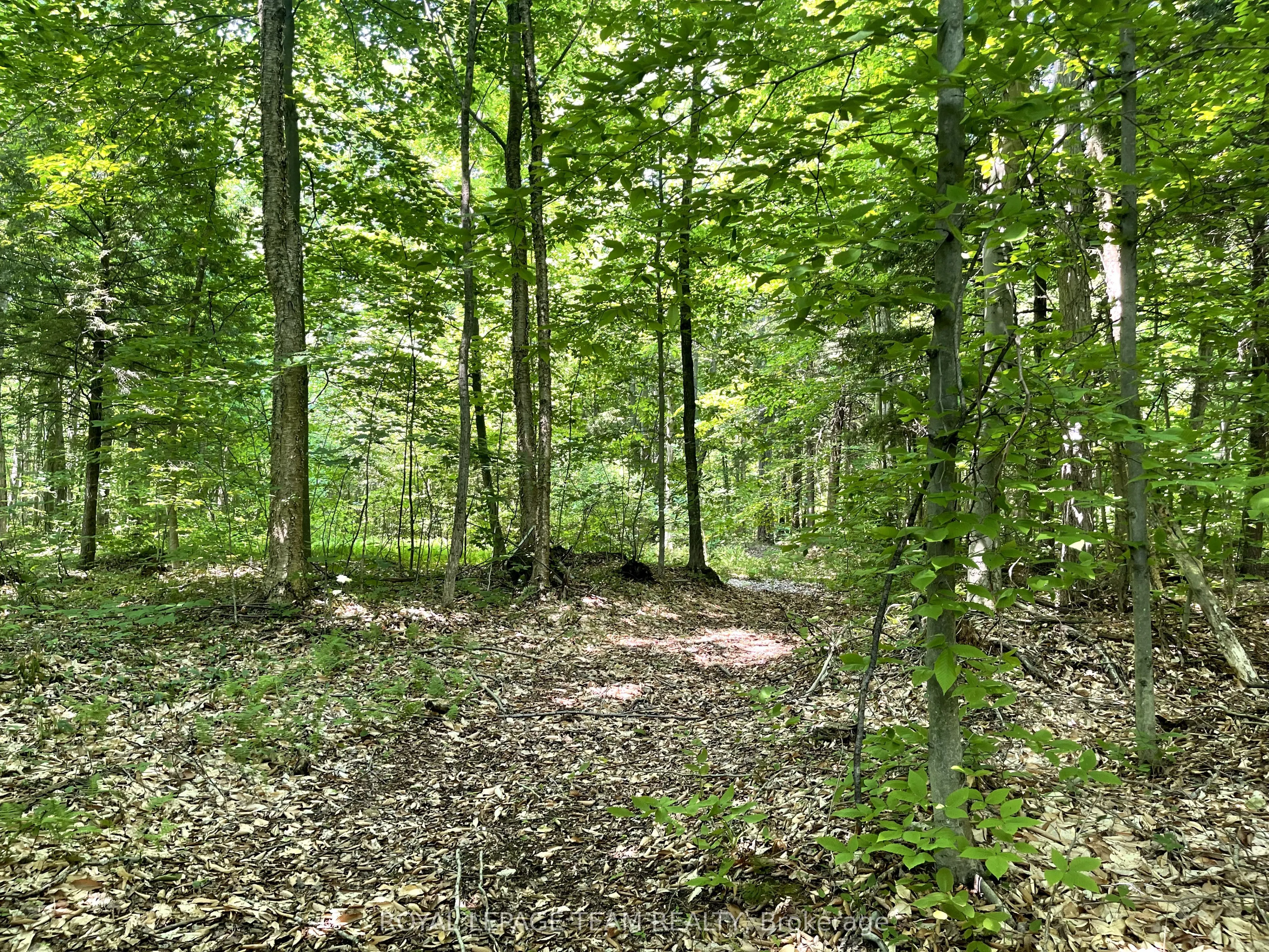 000 Dukelow Road