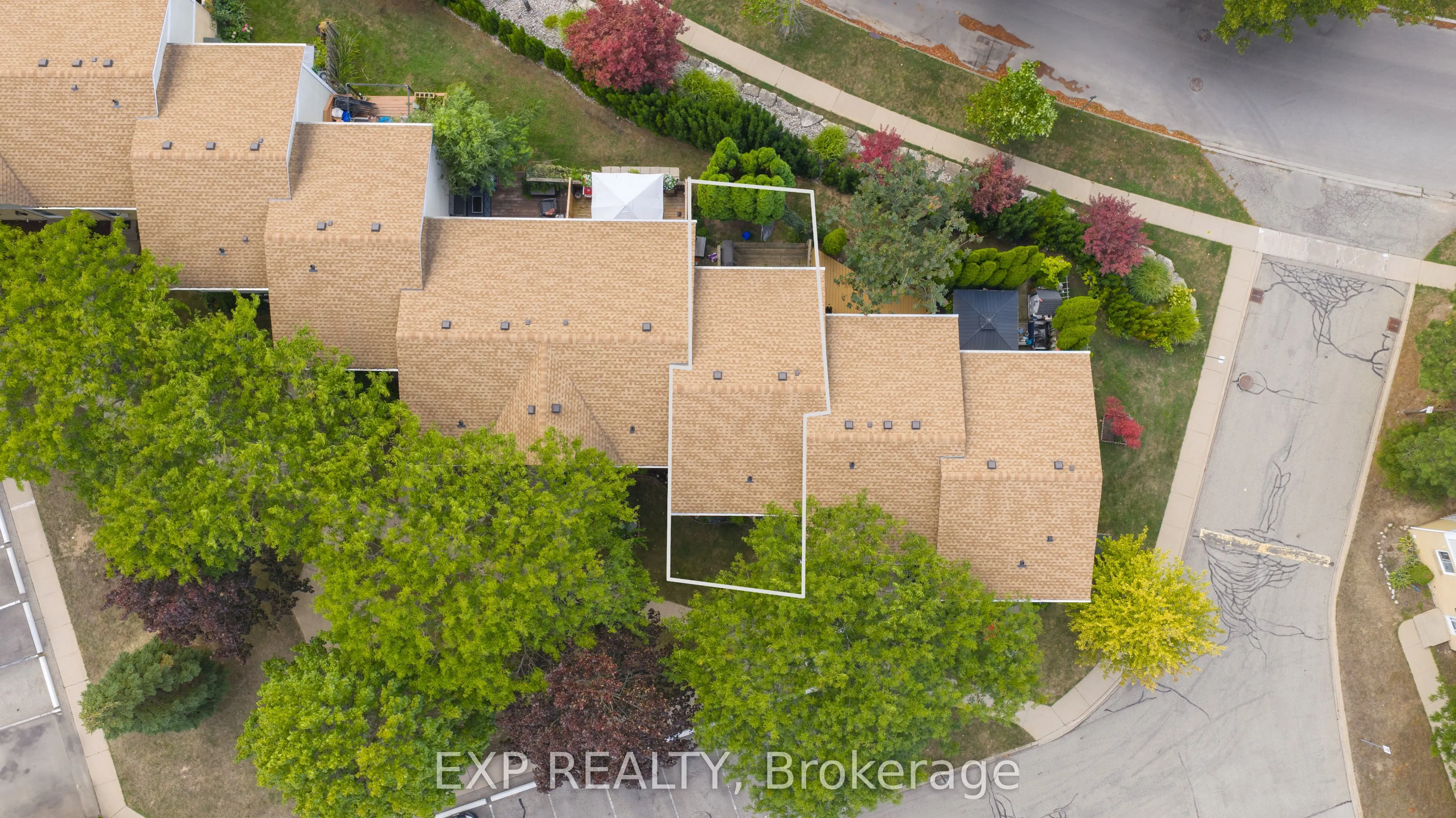 38 Elma Street, #8
