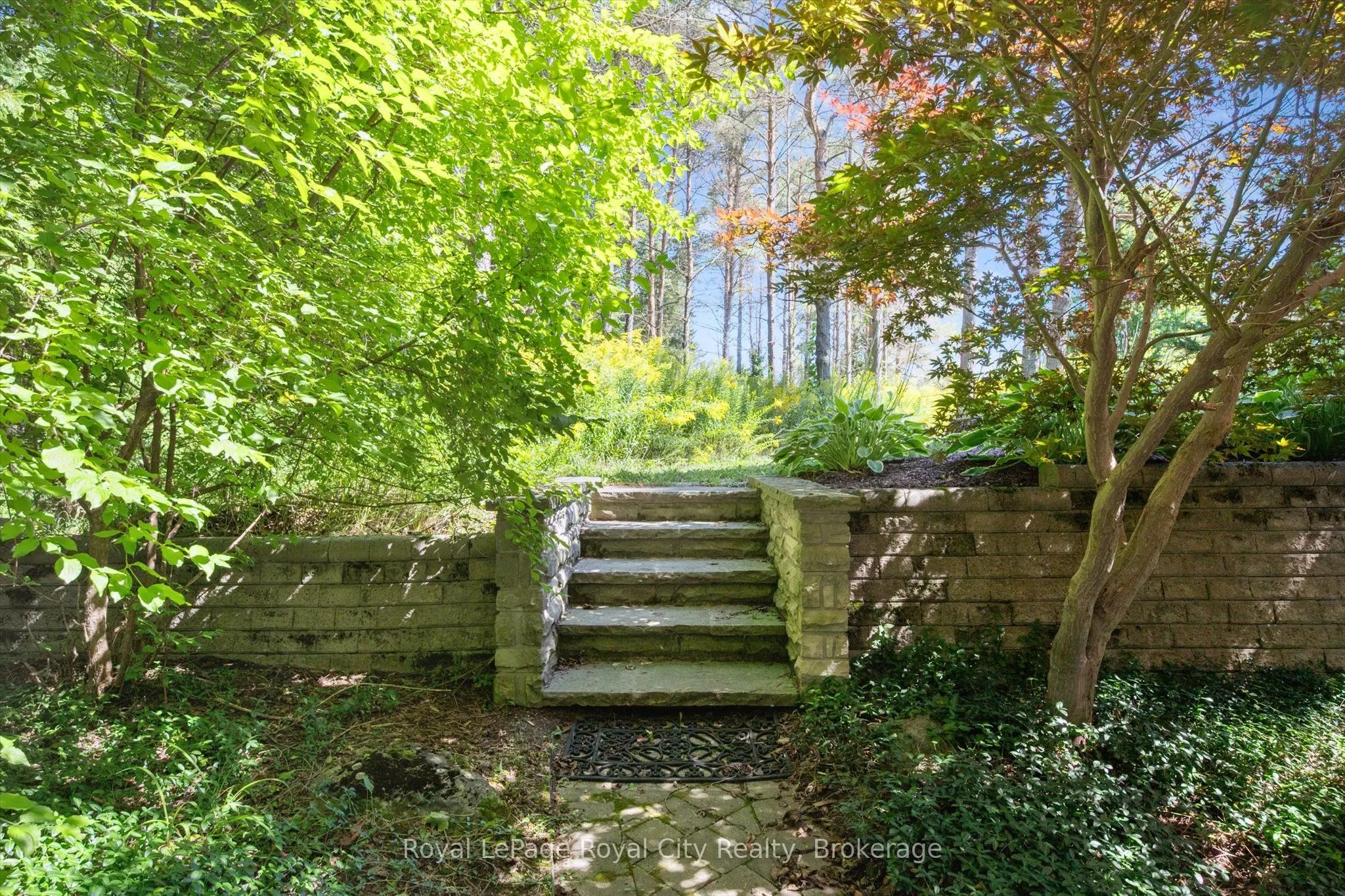 159 Carter Road