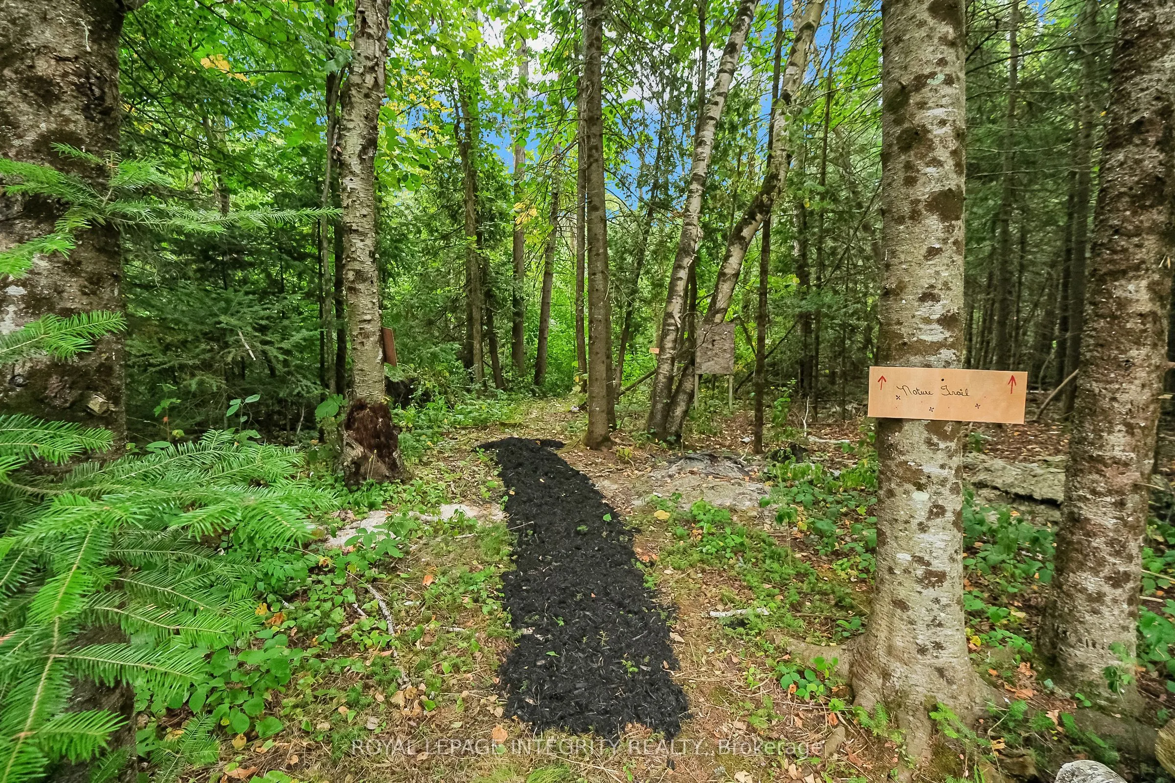 261 Kings Creek Road