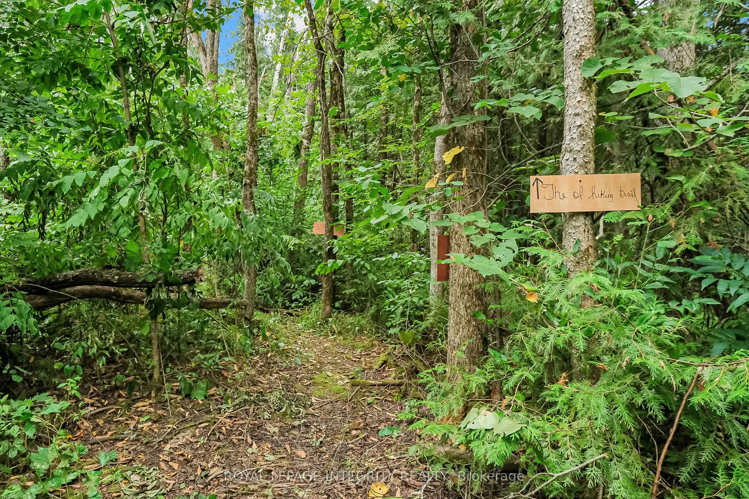 261 Kings Creek Road