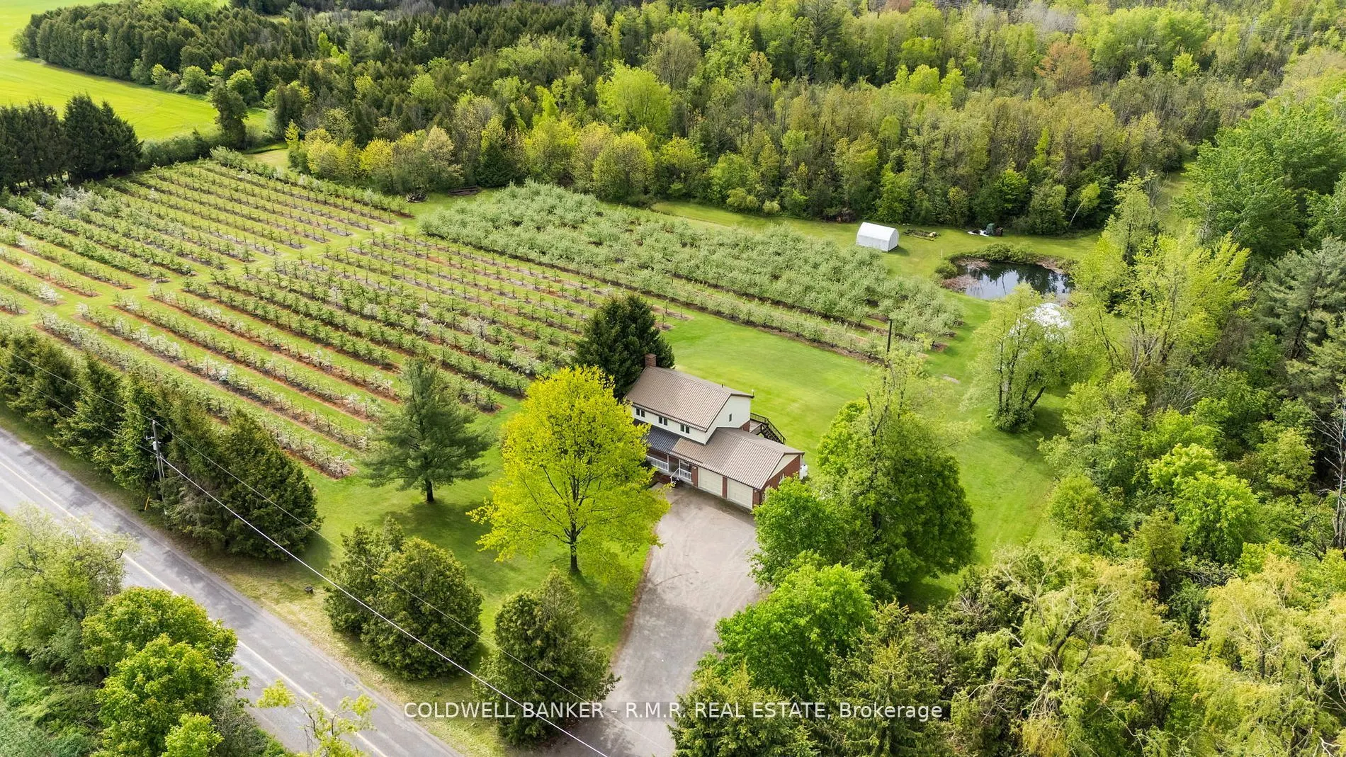 223 Turk Road