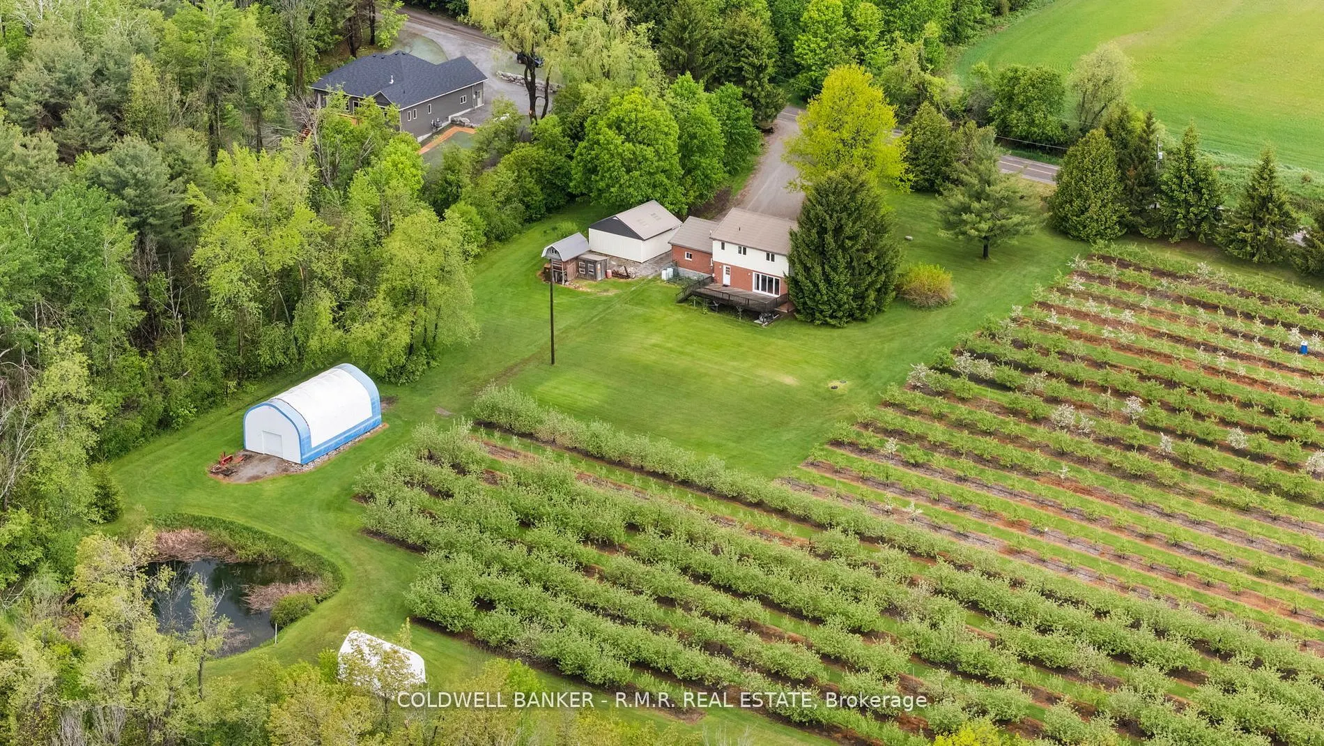 223 Turk Road