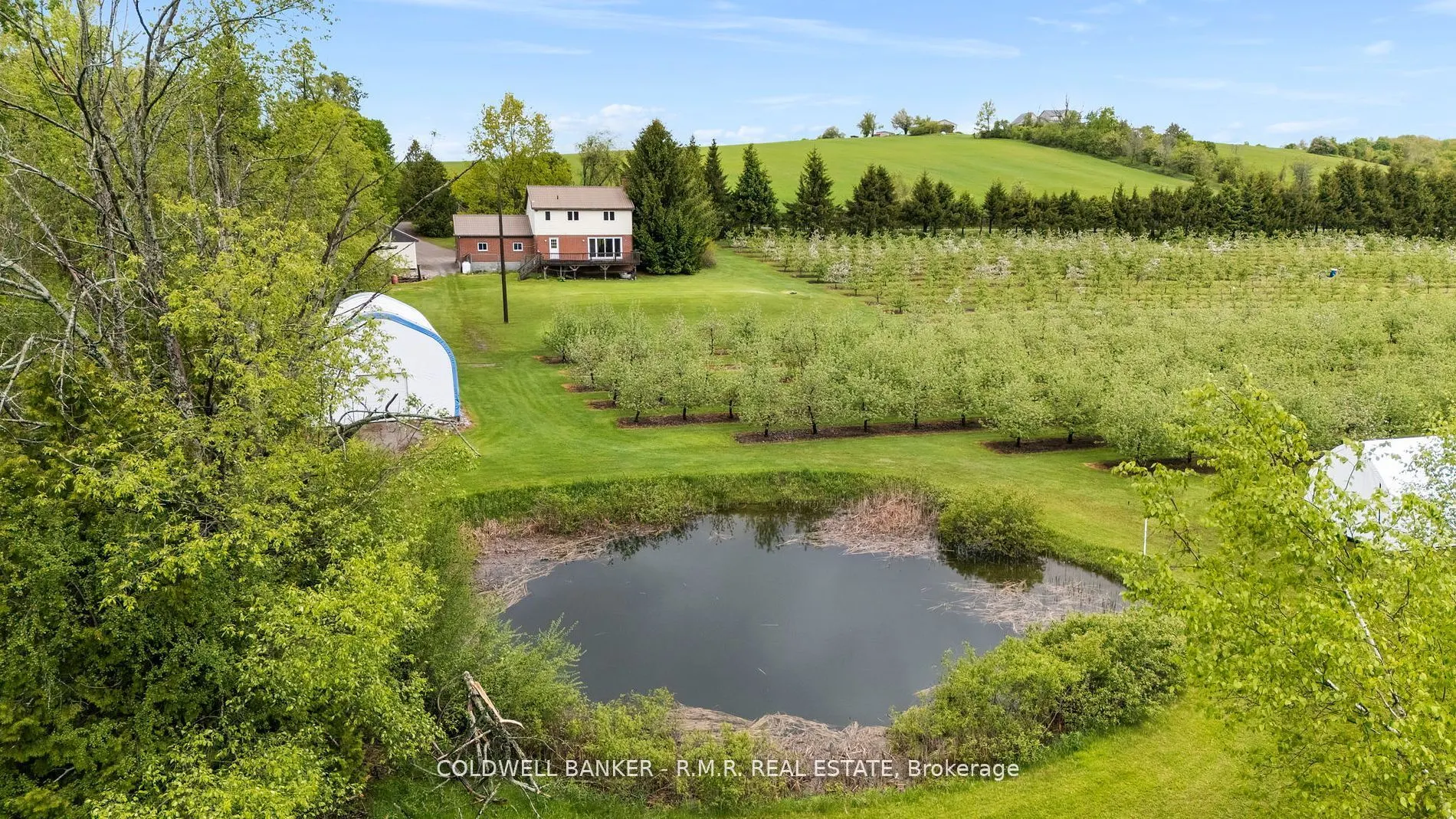 223 Turk Road