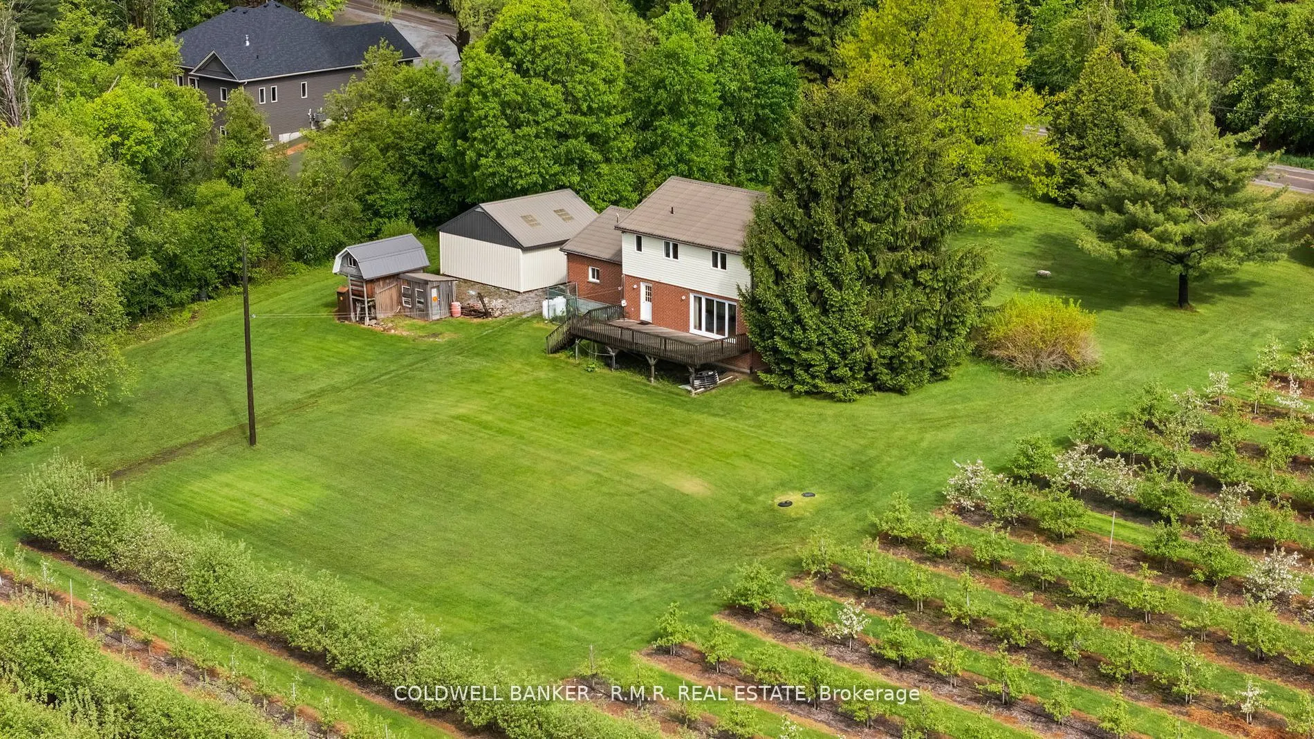 223 Turk Road