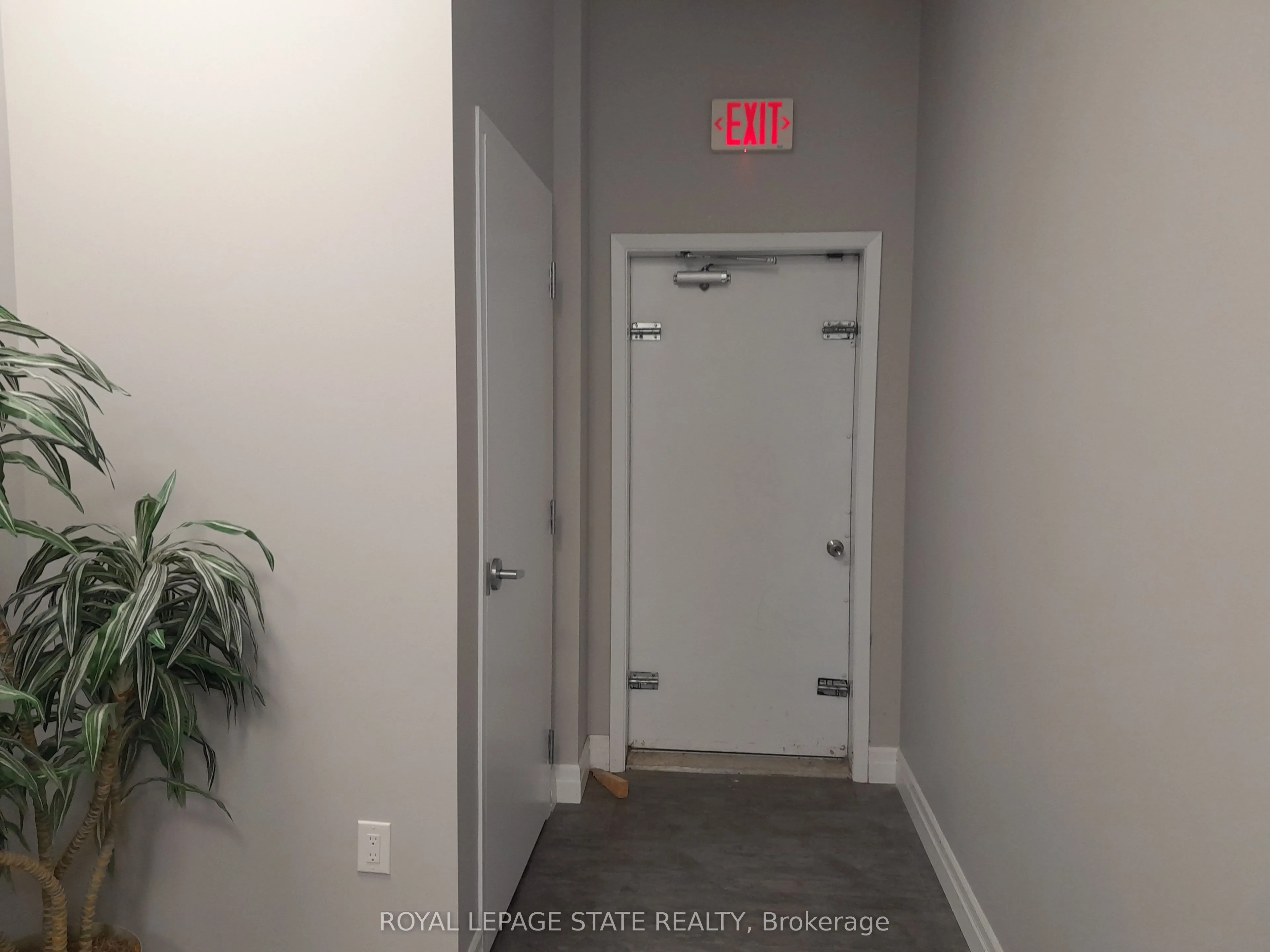 245 Argyle Street S, #5