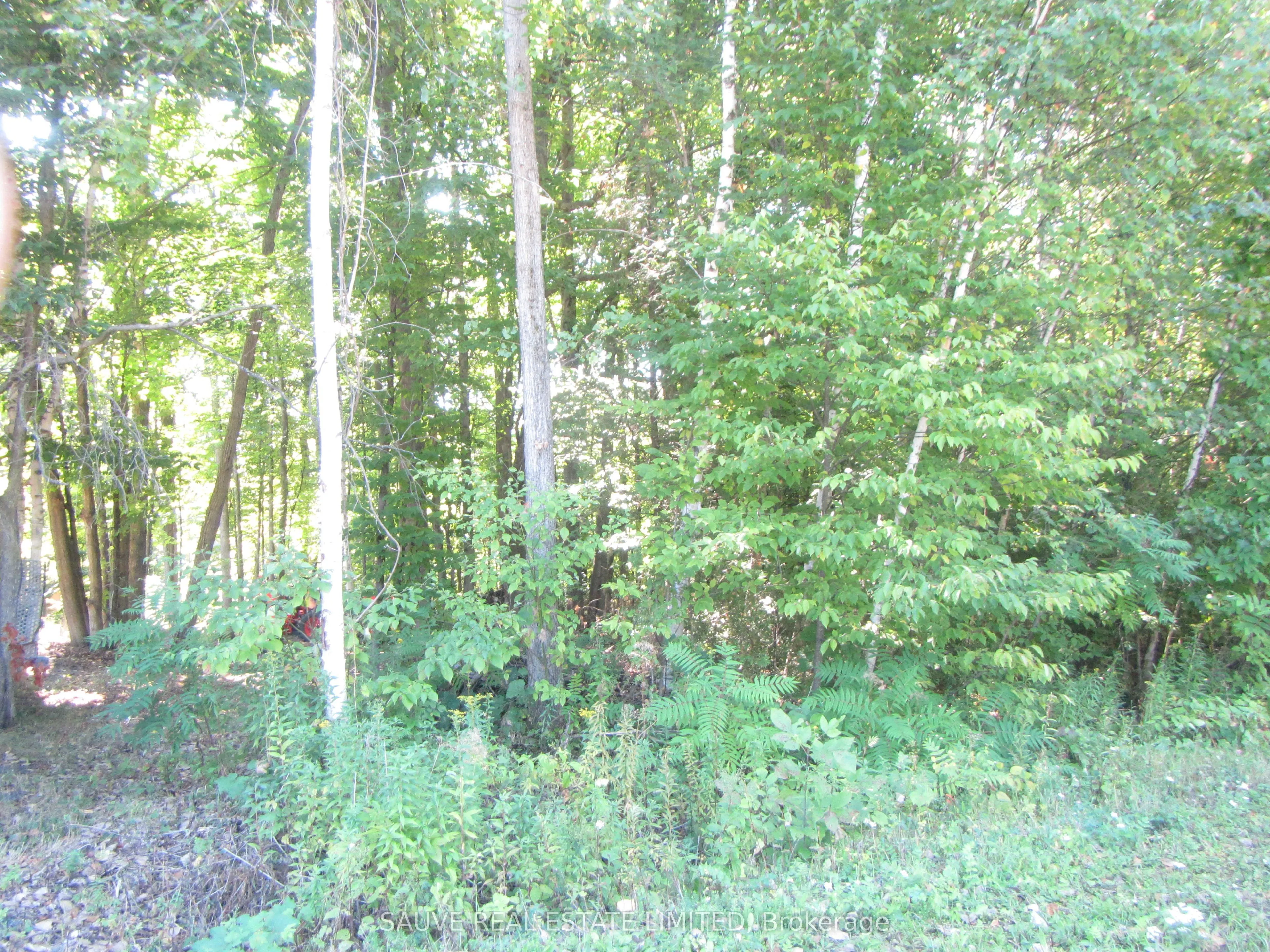 1 PARKHILL Circle