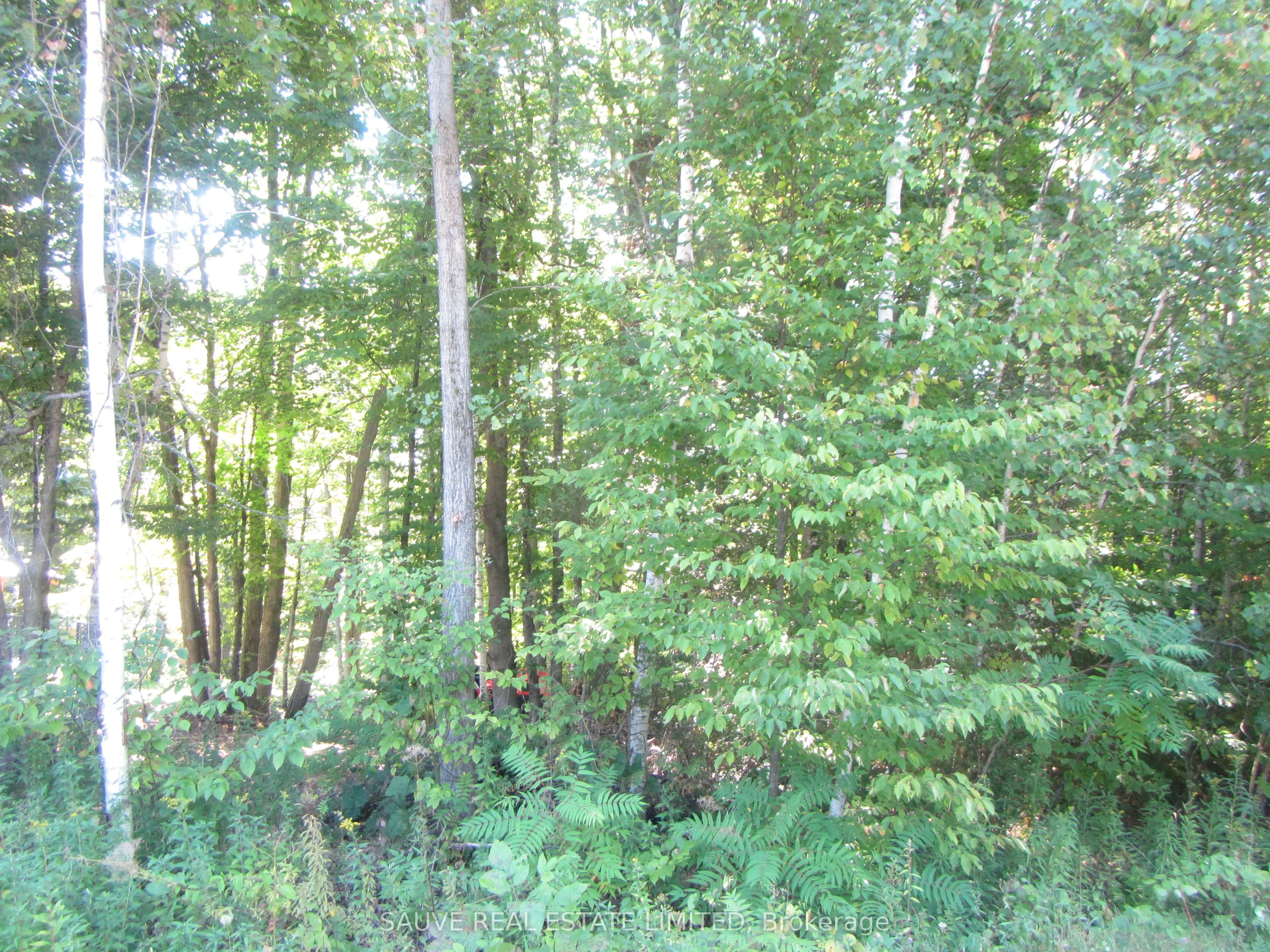 1 PARKHILL Circle