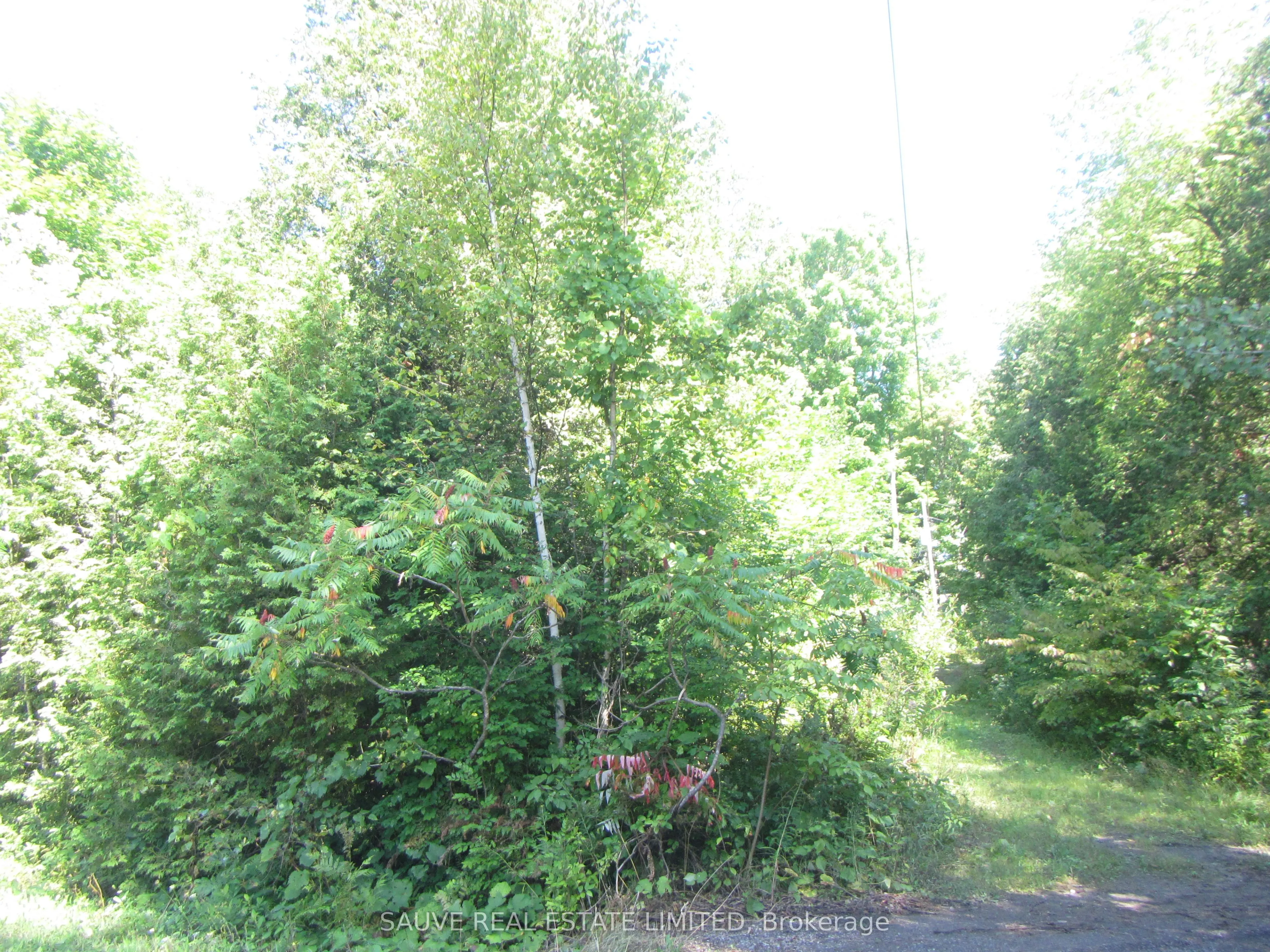 1 PARKHILL Circle