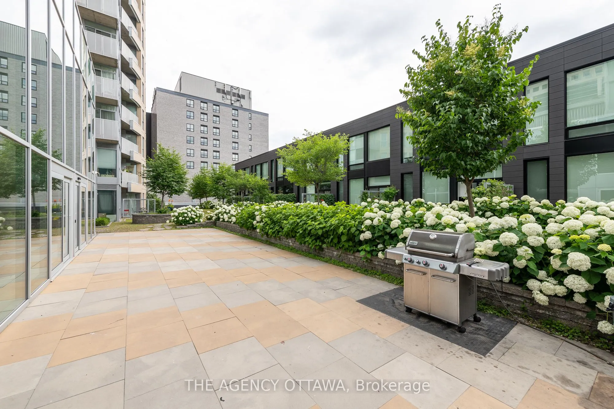 40 Nepean Street, #1004