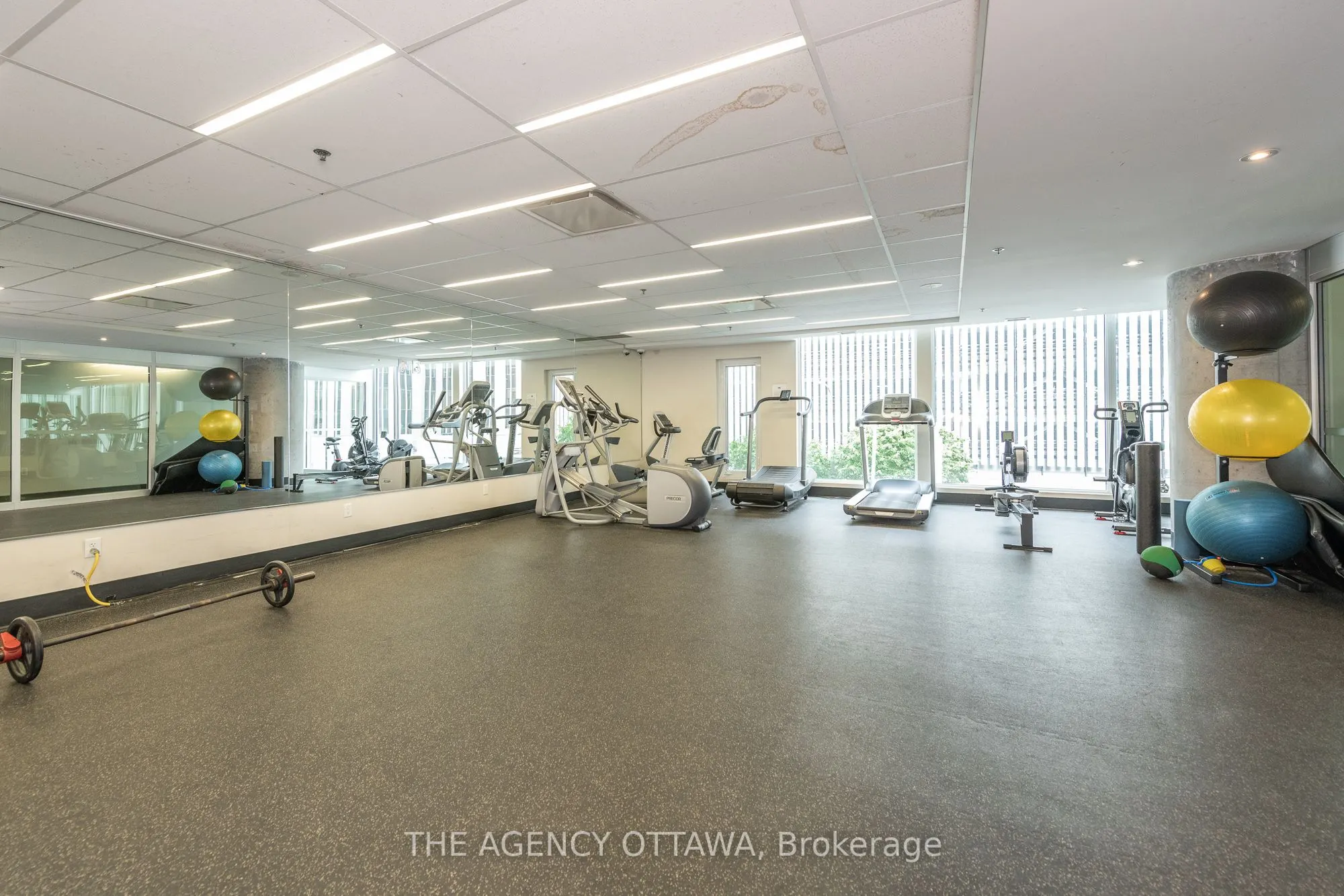 40 Nepean Street, #1004