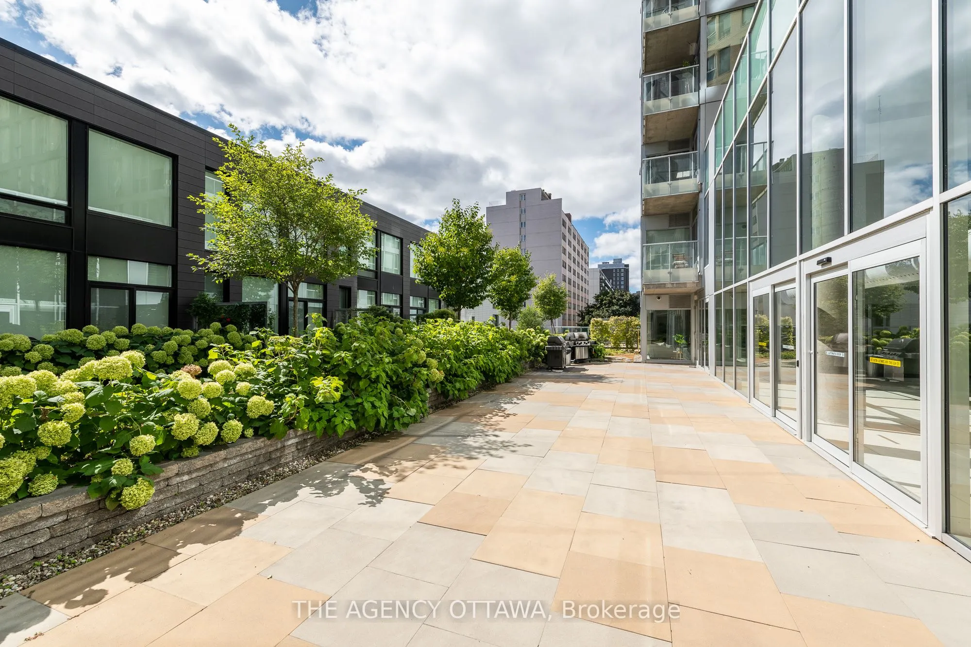 40 Nepean Street, #1004