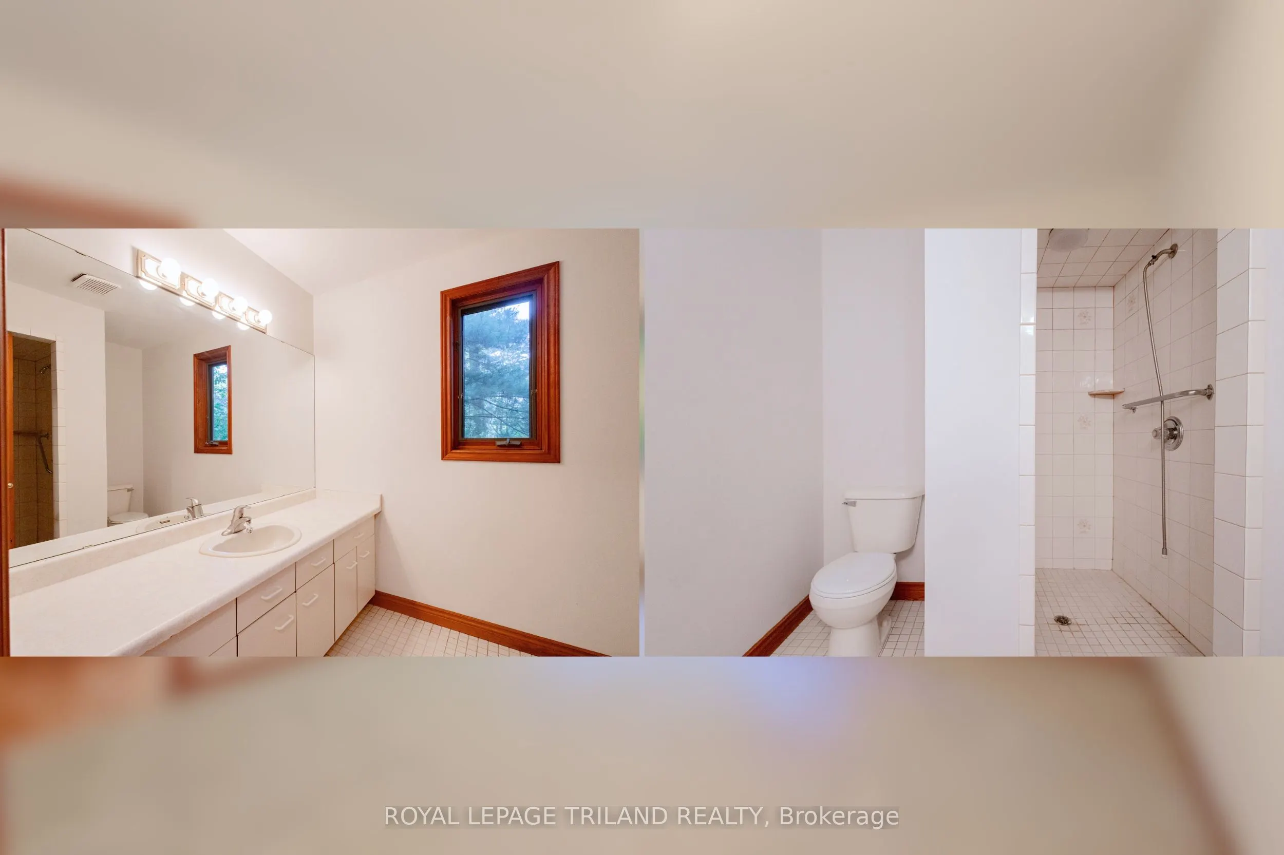 10239 Pinetree Drive